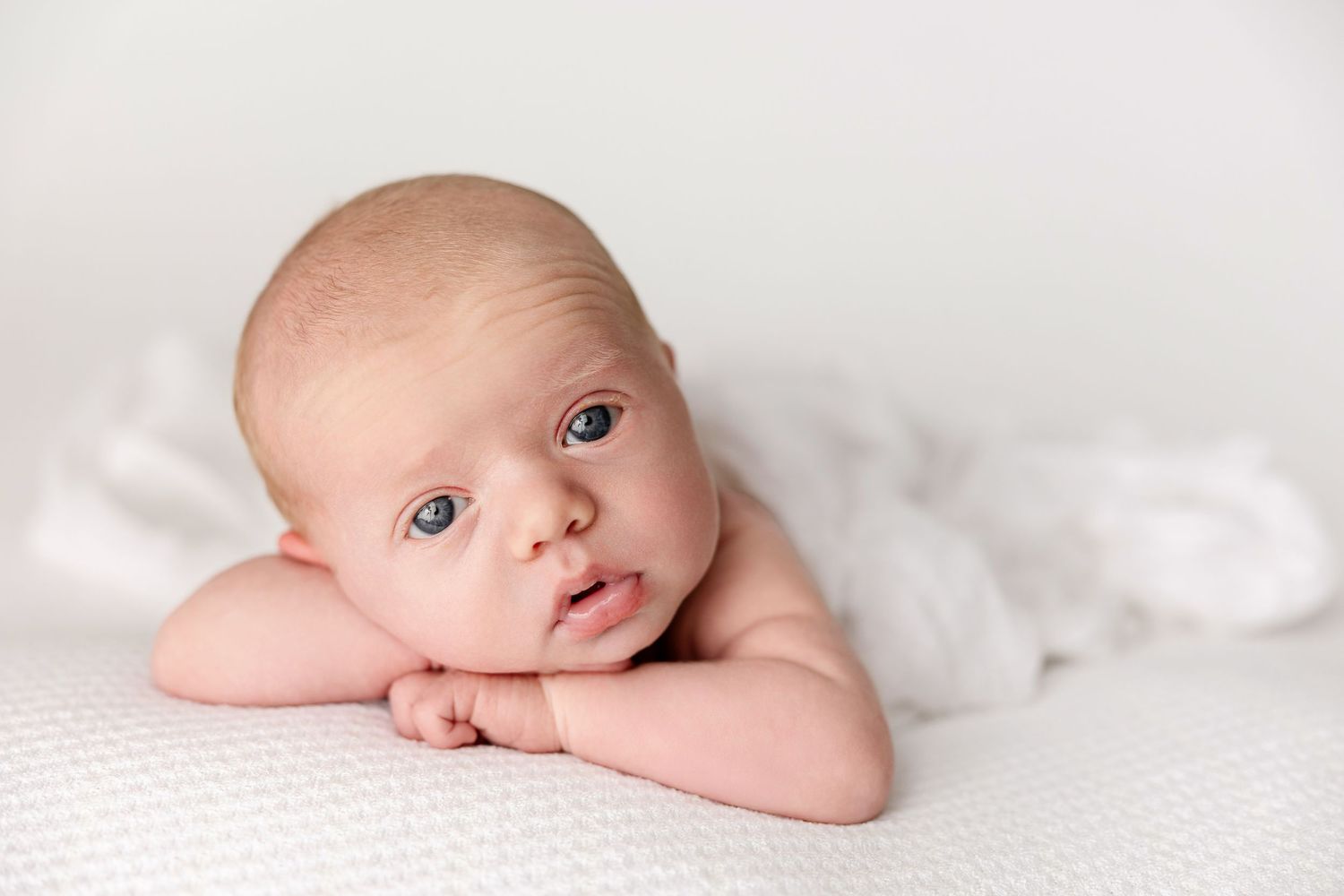 Artistic newborn photography collage showing five poses of a baby wrapped in soft white blankets against light backgrounds.