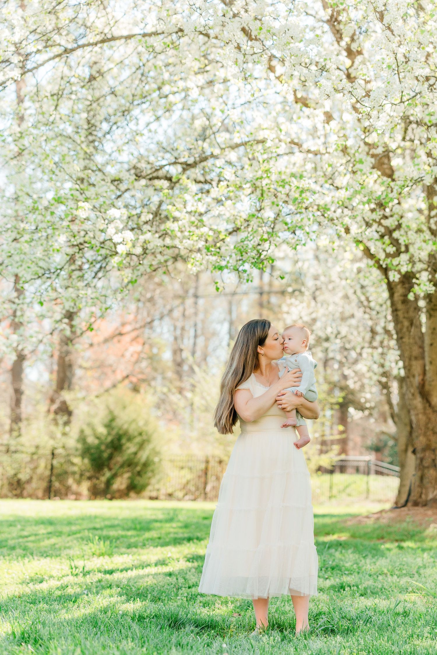 Spring photoshoot under blooming white cherry trees with soft natural lighting.