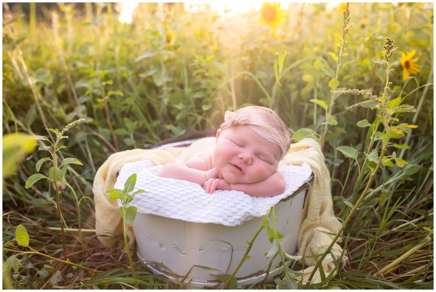 Newborn resting in white basket surrounded by tall grass during golden sunset.