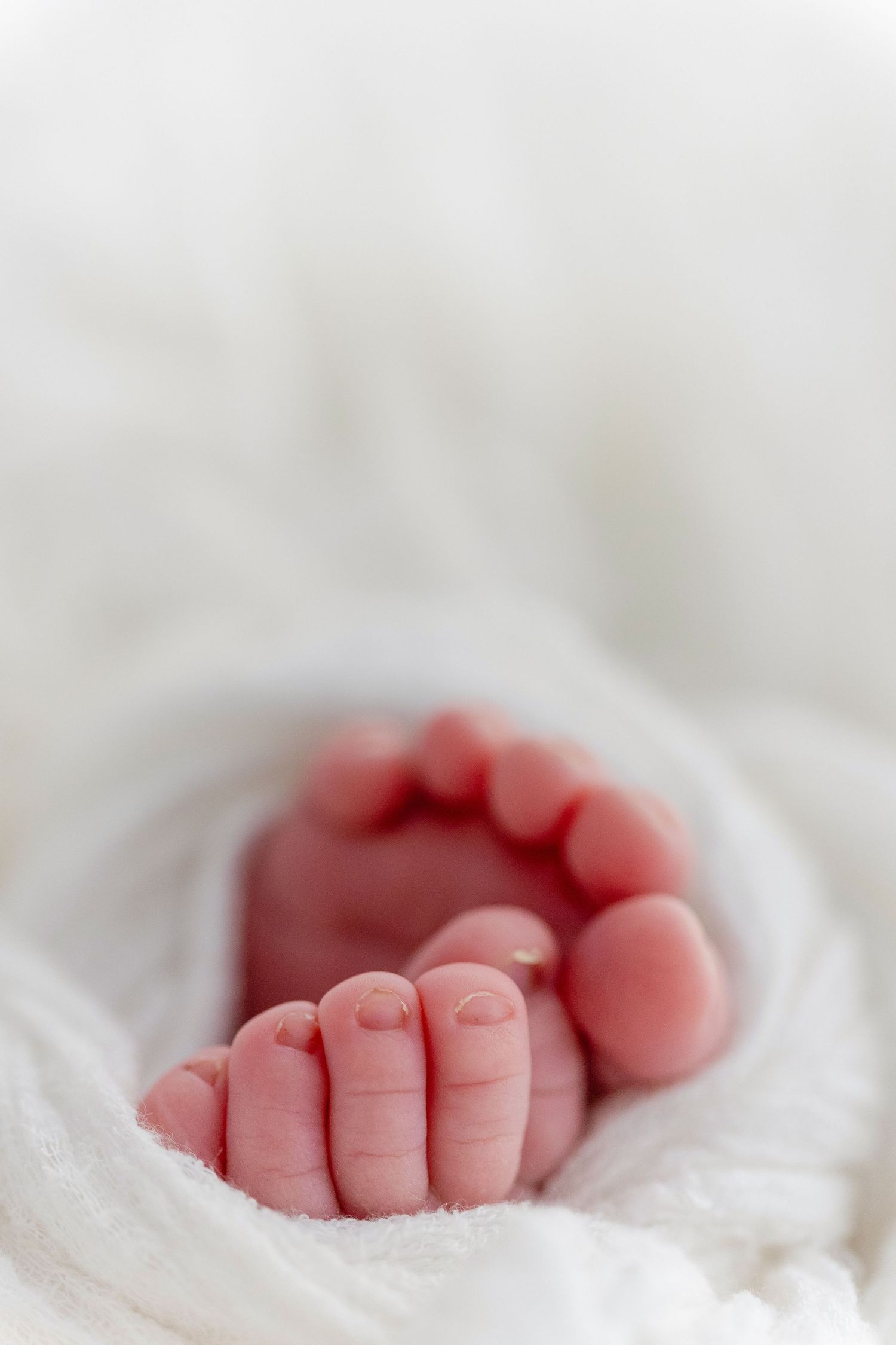 Close-up of tiny newborn baby toes wrapped in soft white fabric, showcasing delicate pink skin and small nails.