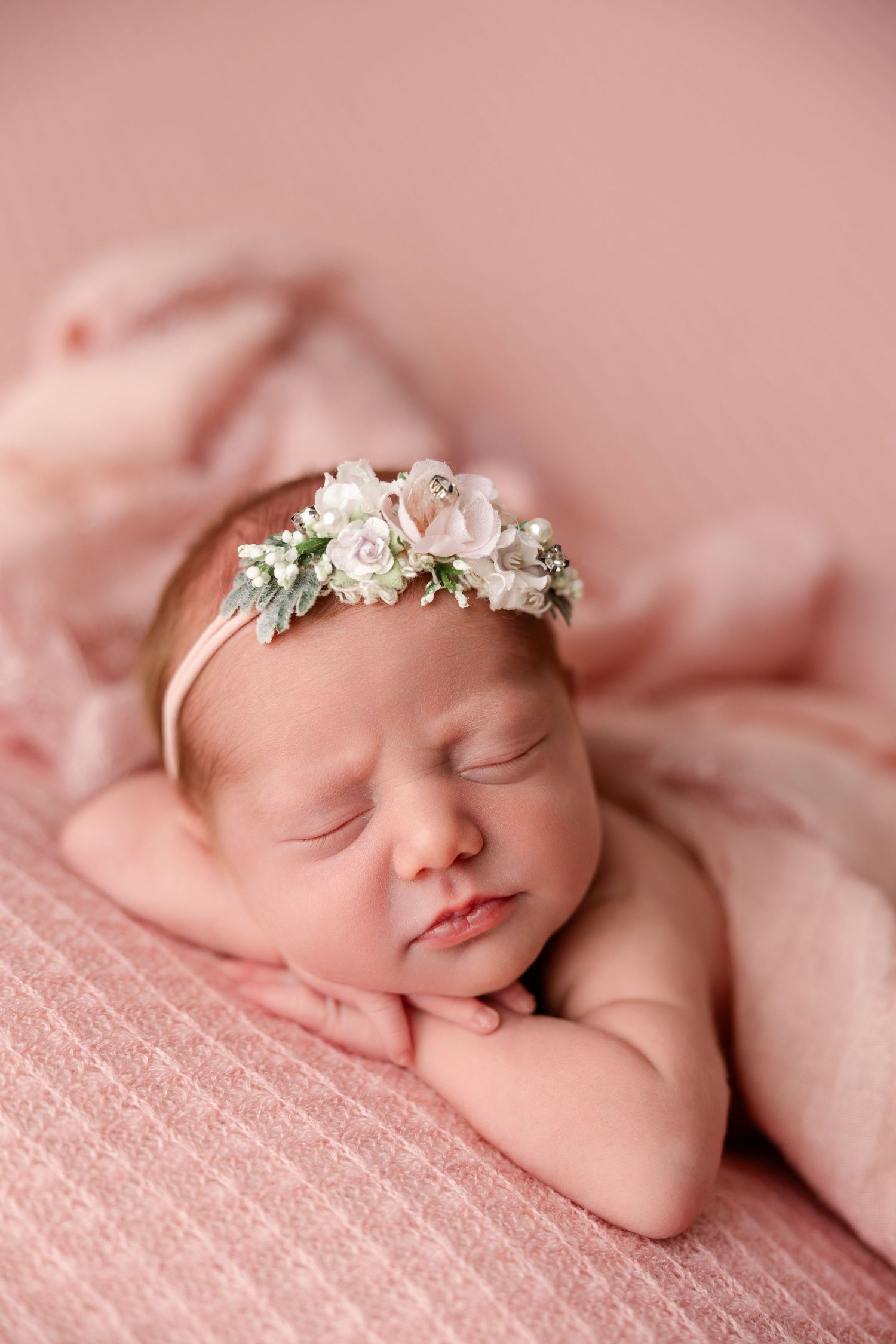 baby photography charlotte