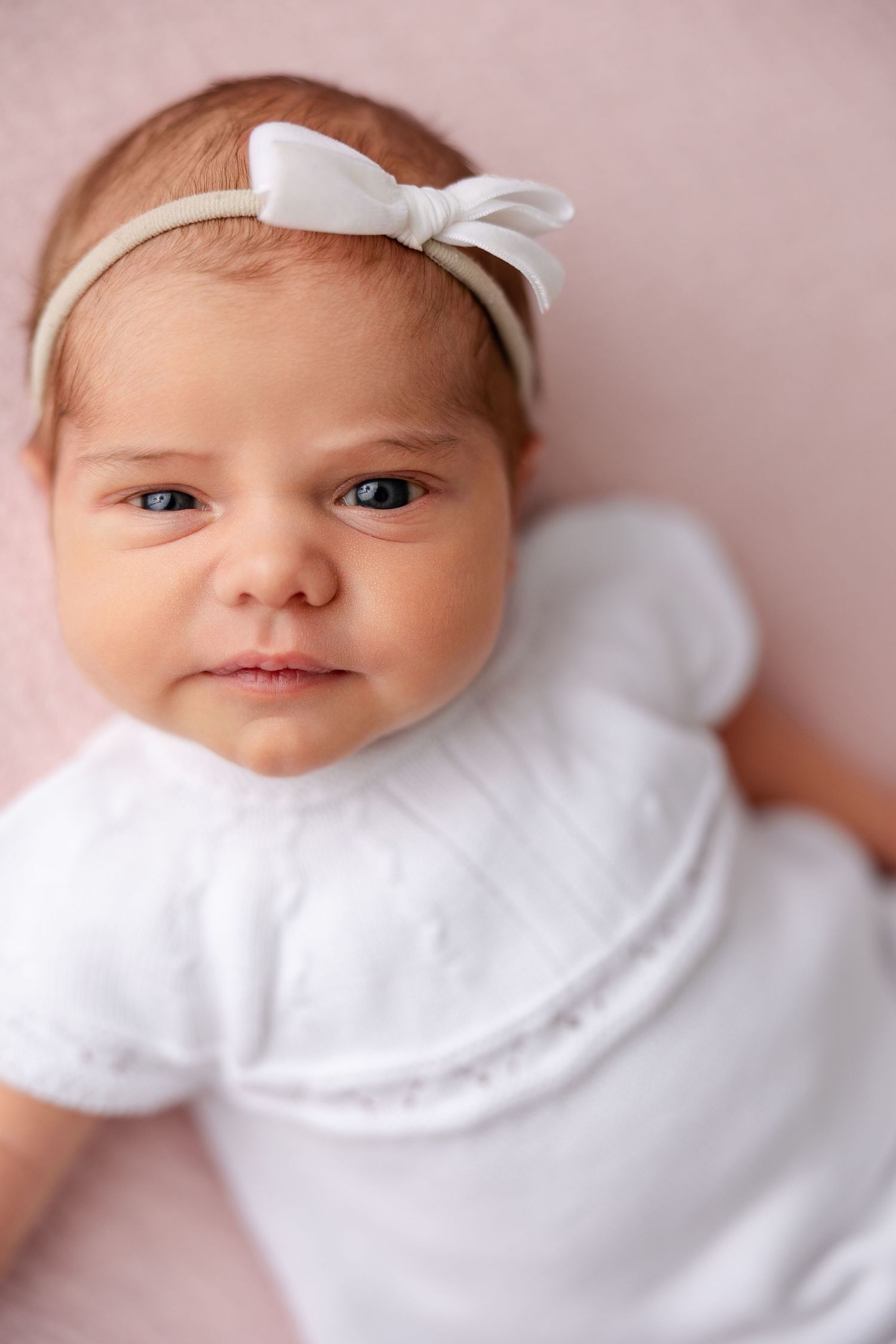 best Charlotte newborn photographers