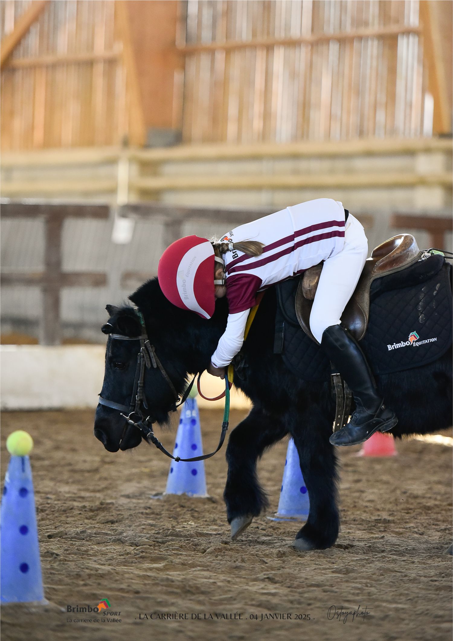 Photographie concours CSO, Hunter, Dressage, CCE, Equifun