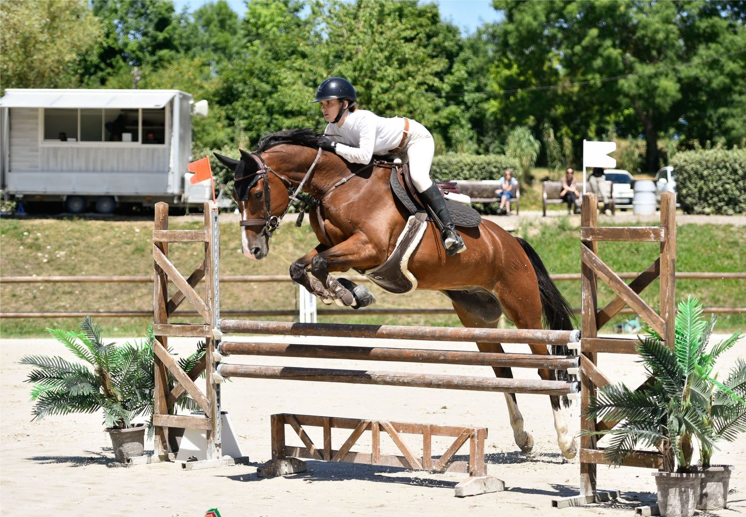 Photographie équestre en compétition de CSO