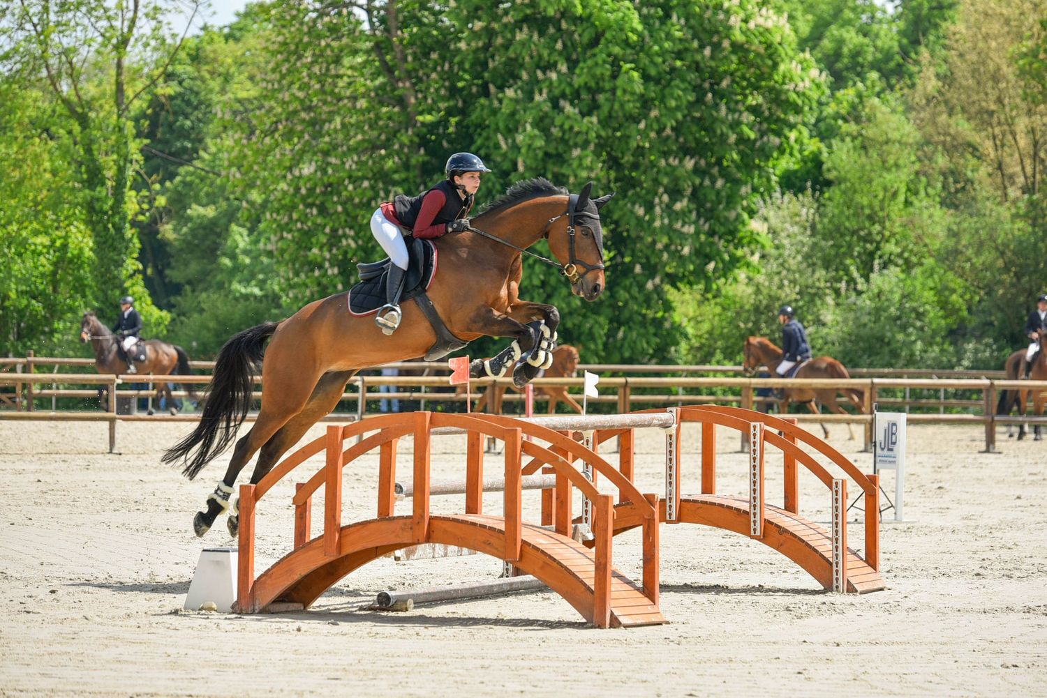 Photographie concours CSO, Hunter, Dressage, CCE, Equifun