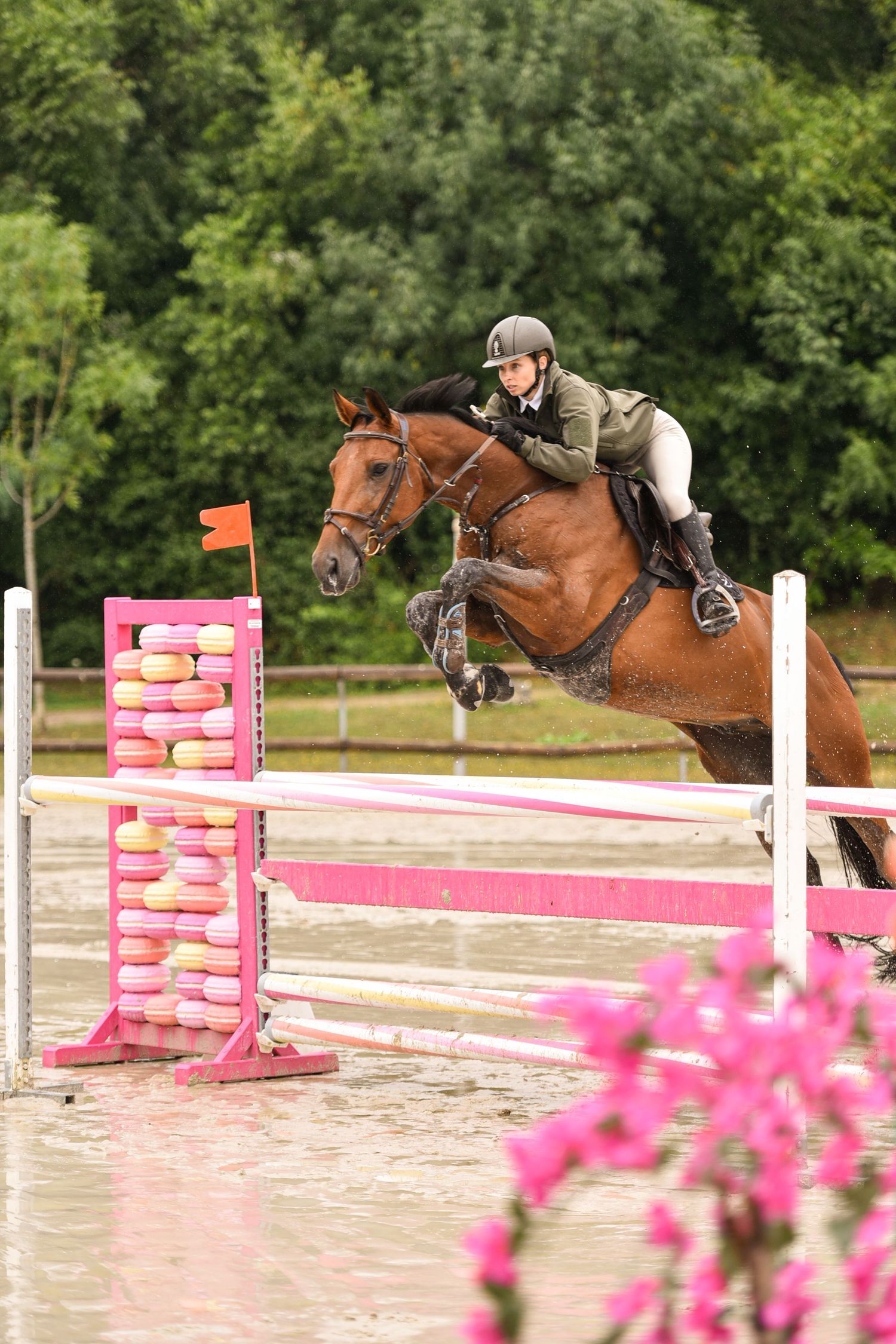 Photographie concours CSO, Hunter, Dressage, CCE, Equifun