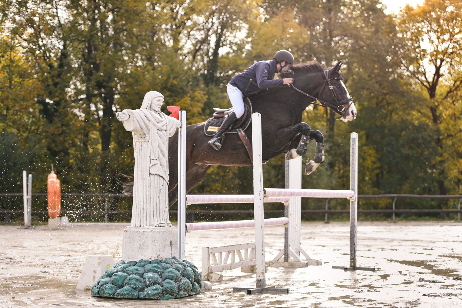 Photographie équestre en compétition de CSO