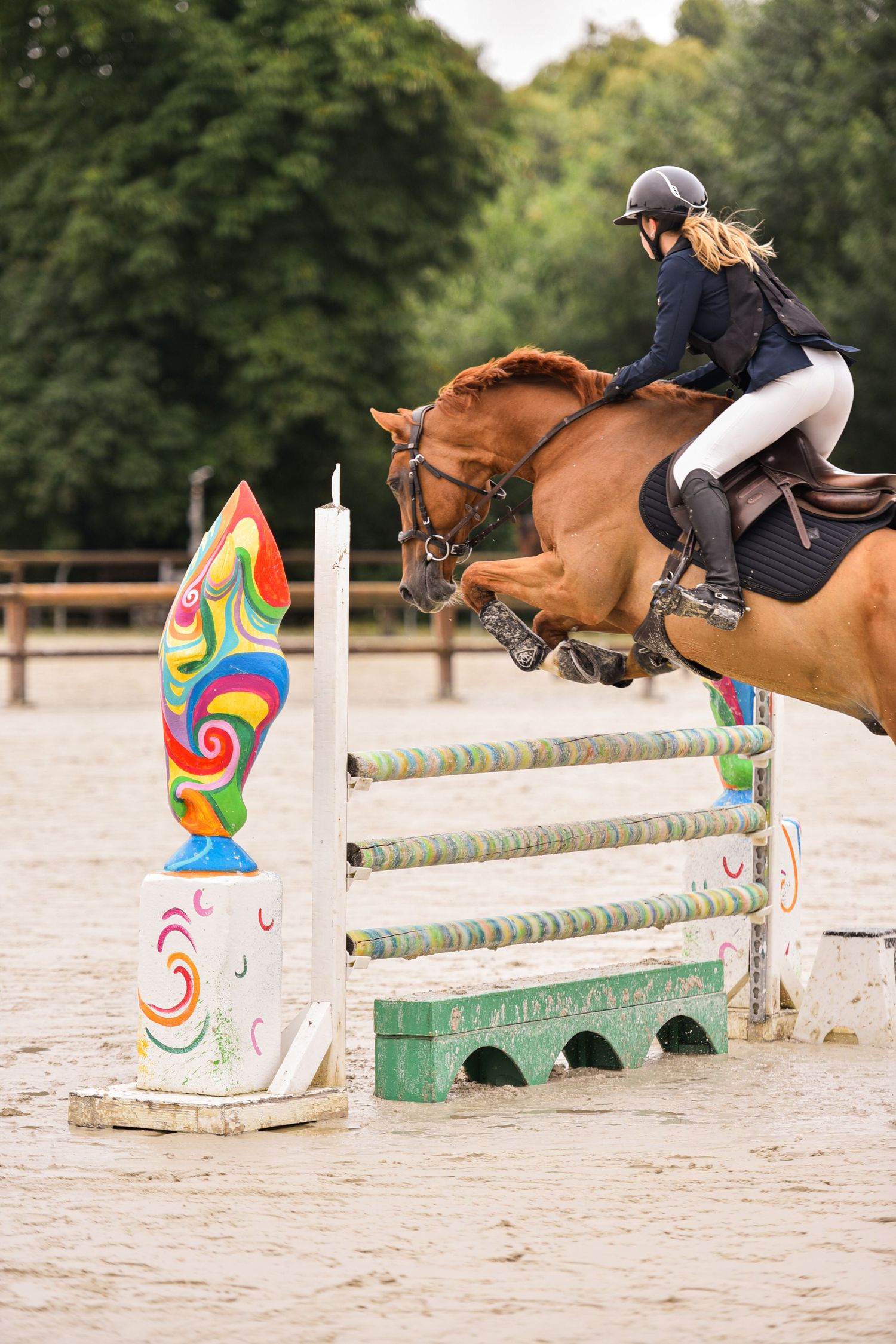 Photographie concours CSO, Hunter, Dressage, CCE, Equifun
