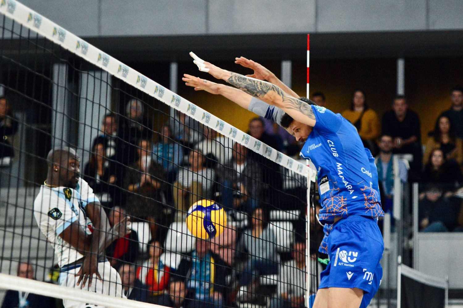 Photographie de volley-ball | Ligue A masculine