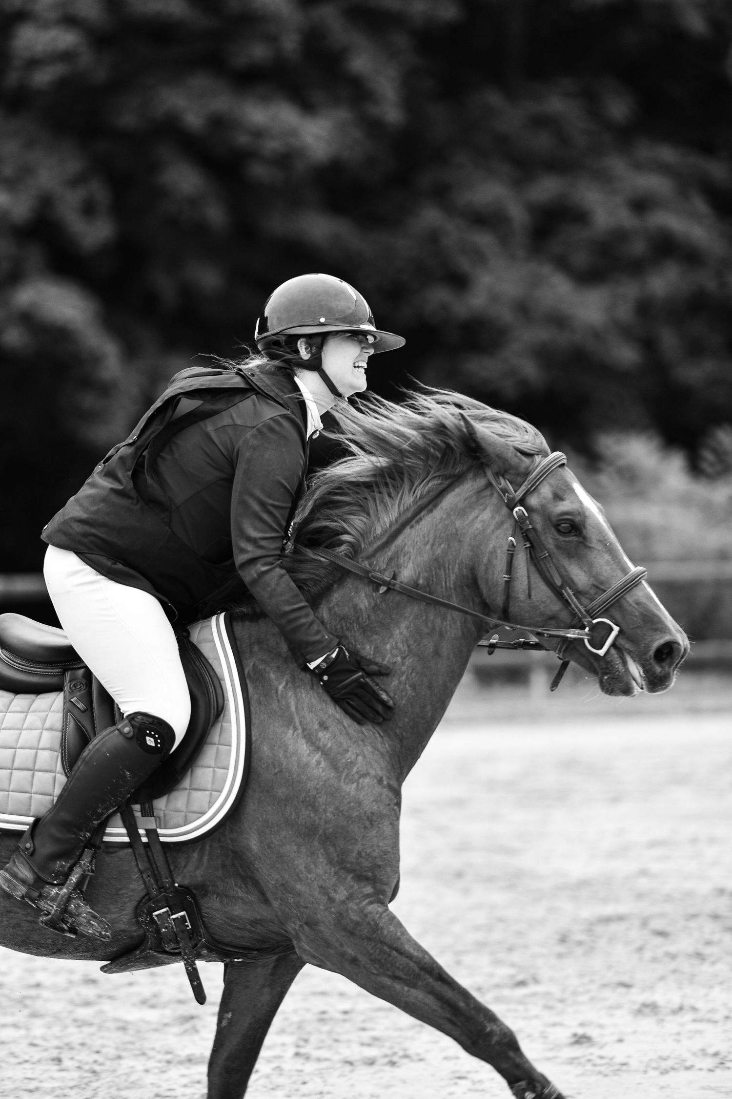 Photographie équestre en compétition de CSO
