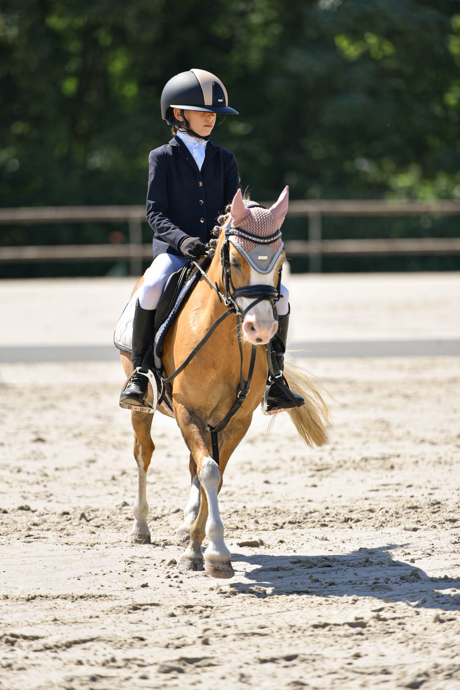 Photographie concours CSO, Hunter, Dressage, CCE, Equifun