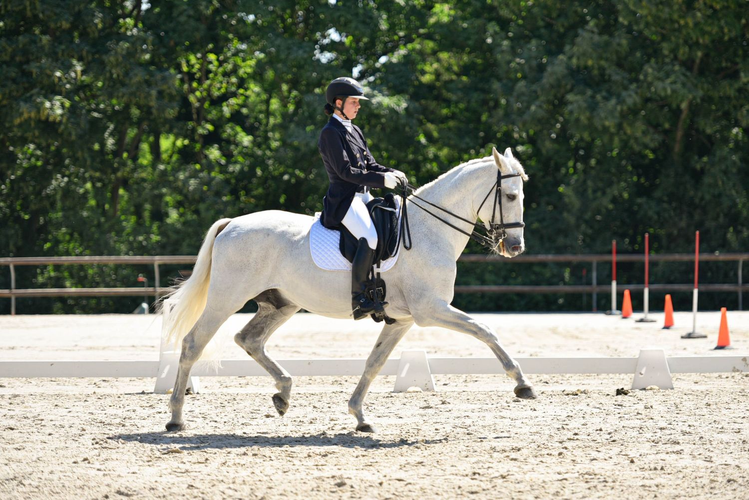 Photographie équestre en compétition de dressage