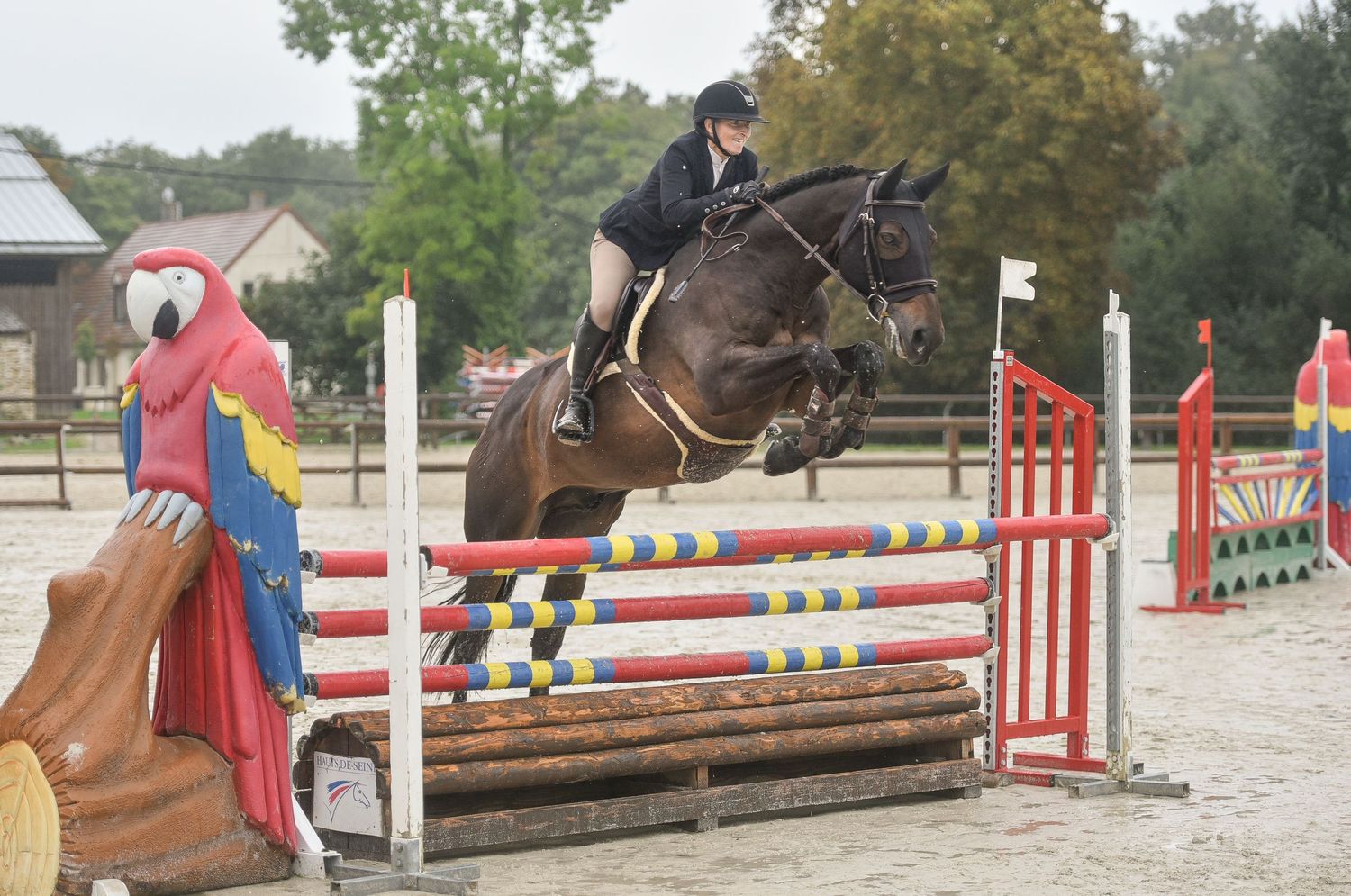 Photographie concours CSO, Hunter, Dressage, CCE, Equifun