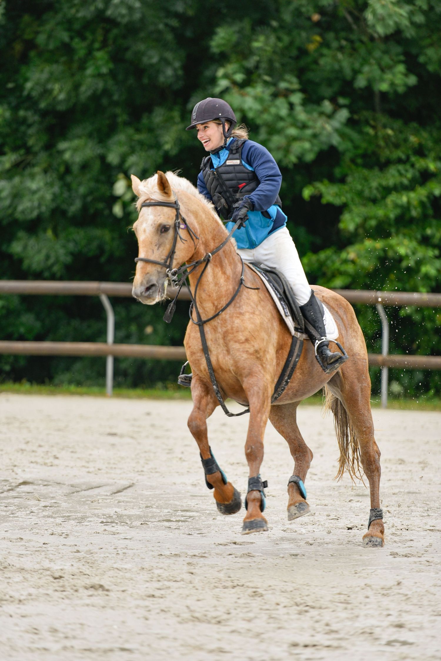 Photographie concours CSO, Hunter, Dressage, CCE, Equifun