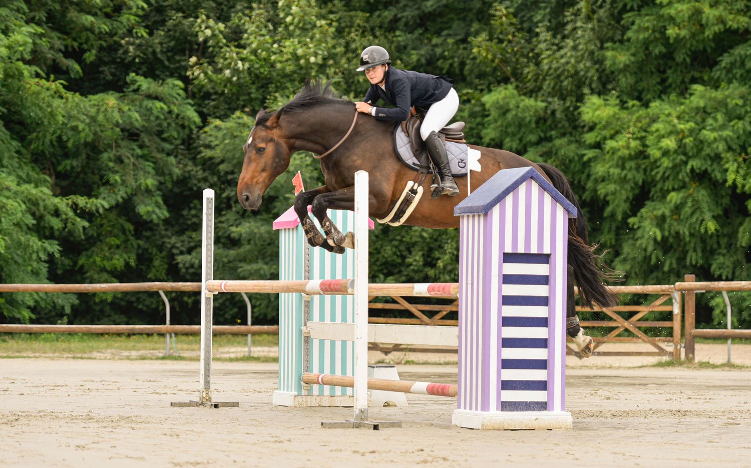 Photographie concours CSO, Hunter, Dressage, CCE, Equifun