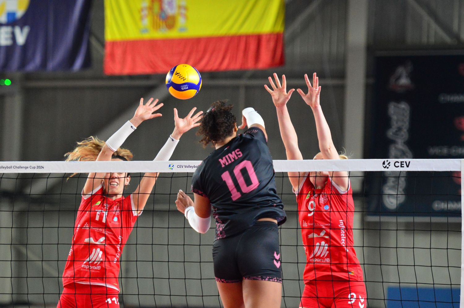 Photographie de volley-ball | Ligue A féminine