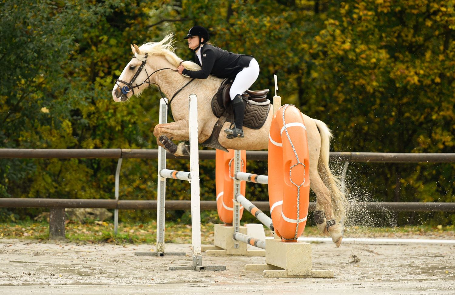 Photographie concours CSO, Hunter, Dressage, CCE, Equifun