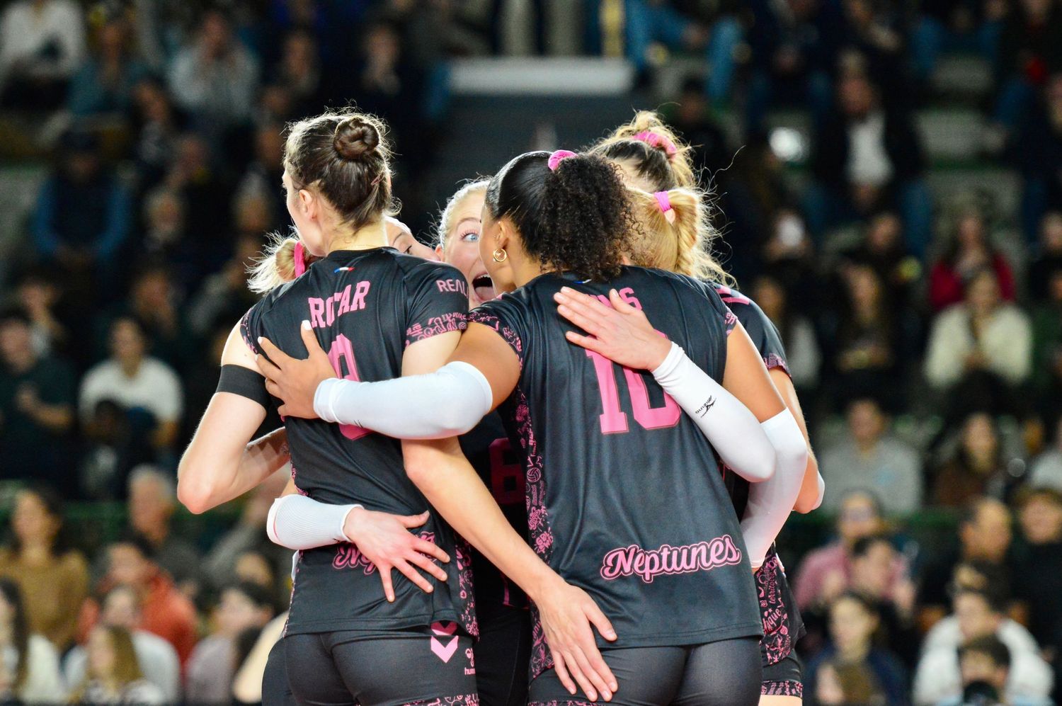 Photographie de volley-ball| Ligue A féminine
