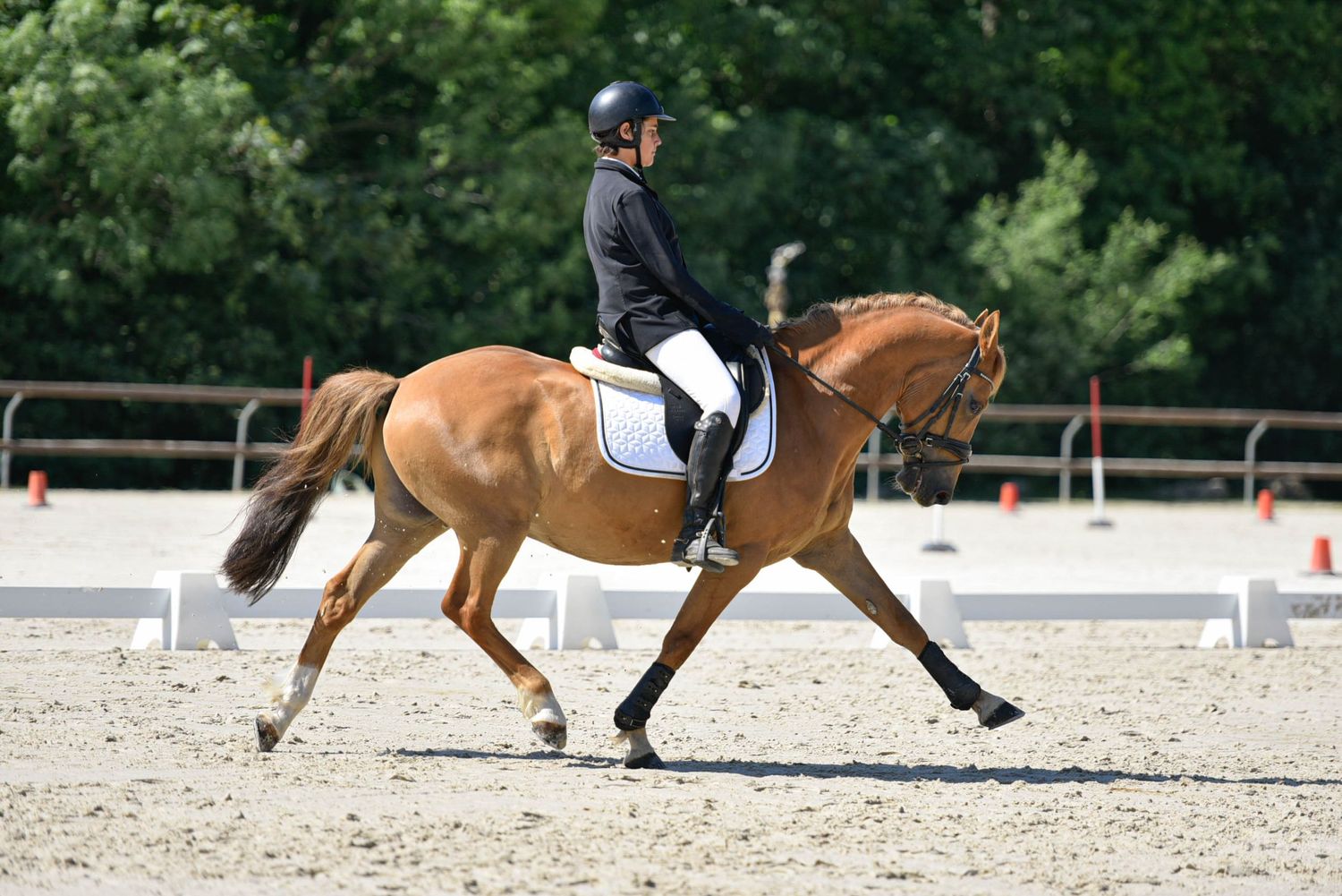 Photographie concours CSO, Hunter, Dressage, CCE, Equifun