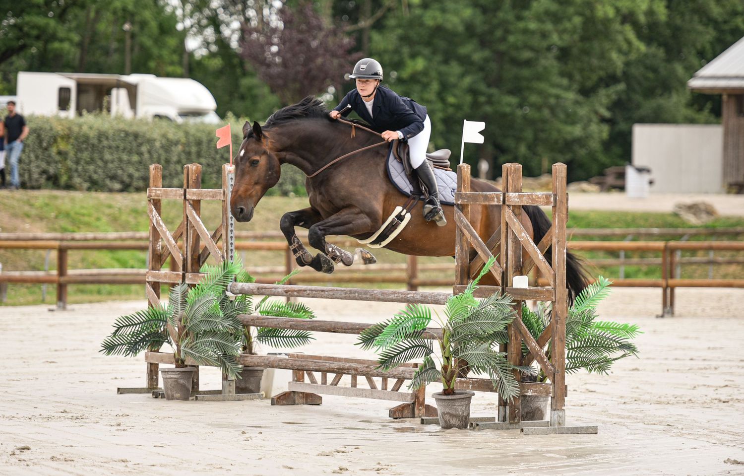 Photographie équestre en compétition de CSO