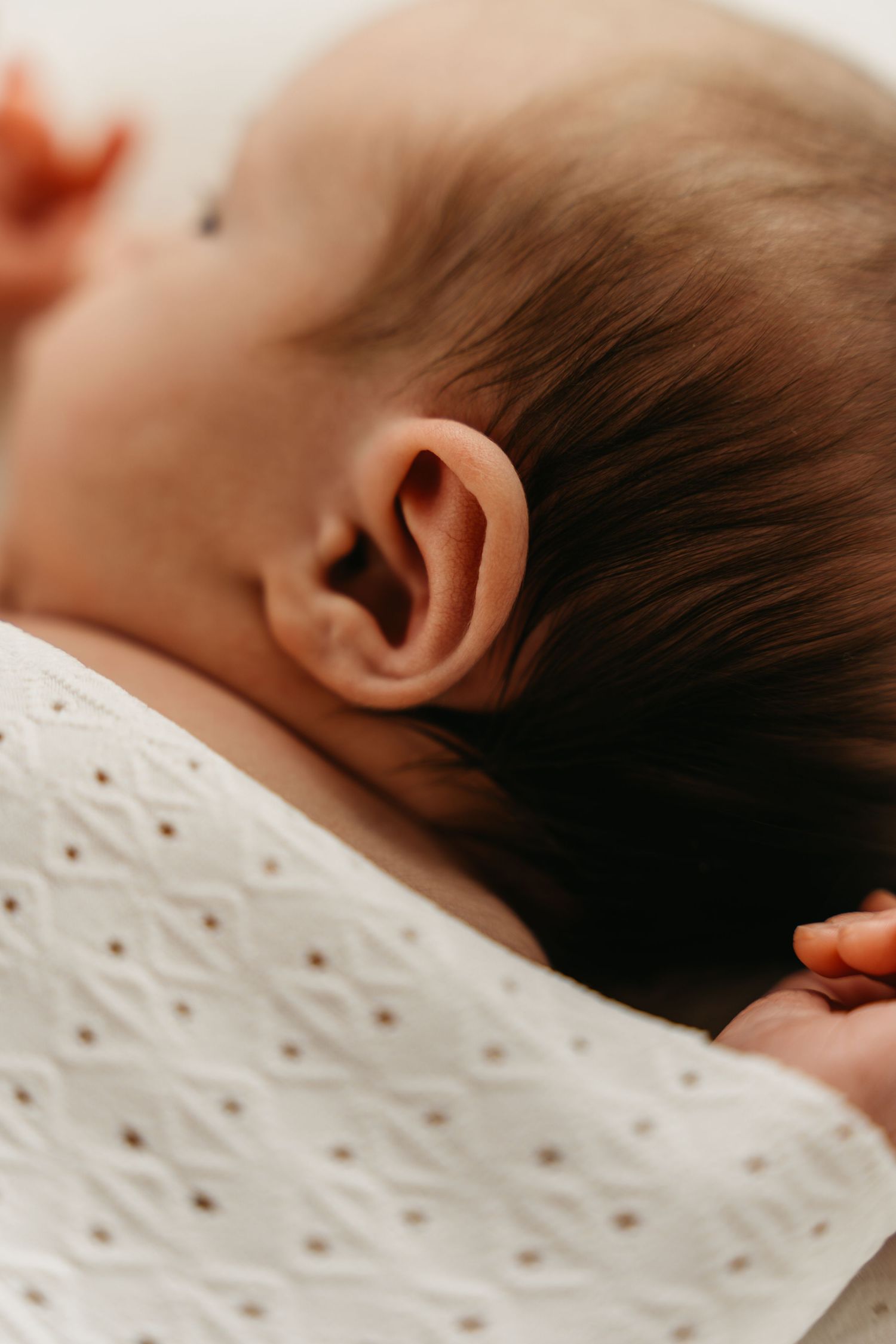 detailfoto van oortje van baby tijdens newborn reportage