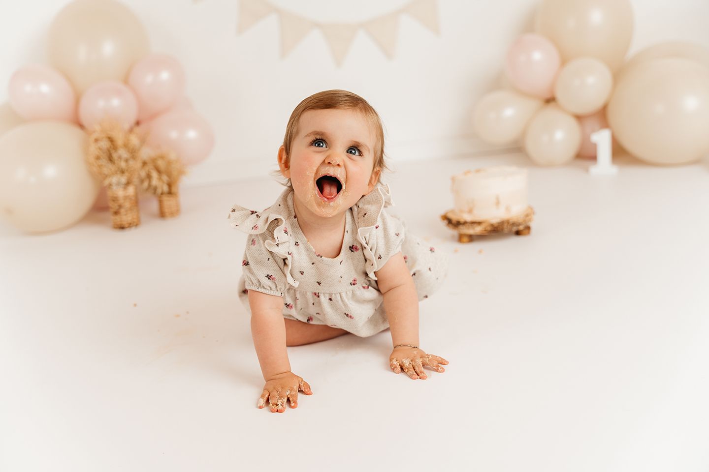cakesmash fotograaf studio zandhoven
