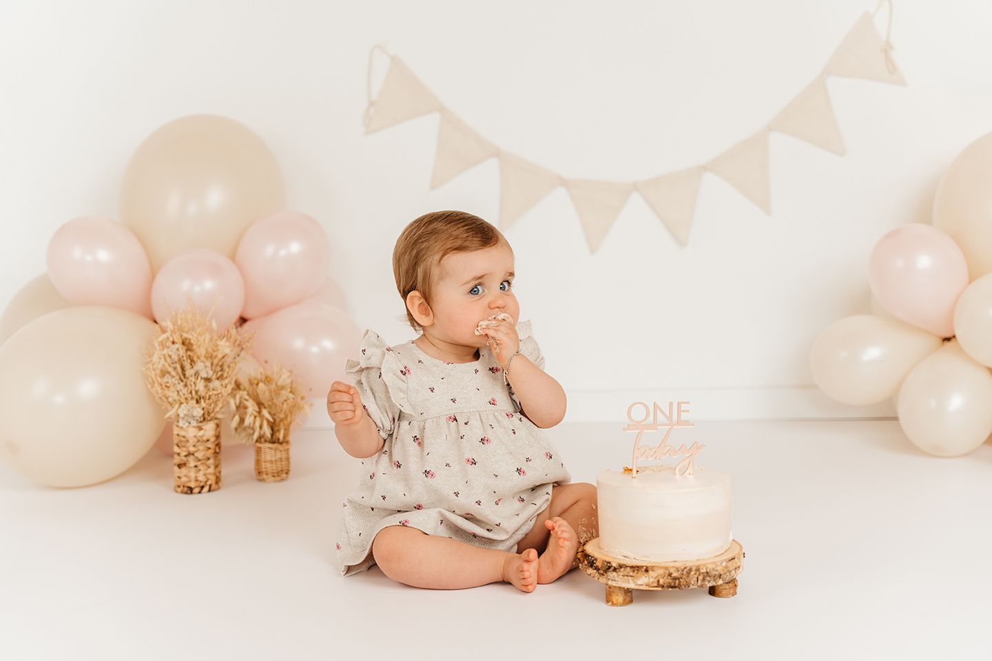 cakesmash fotograaf studio zandhoven