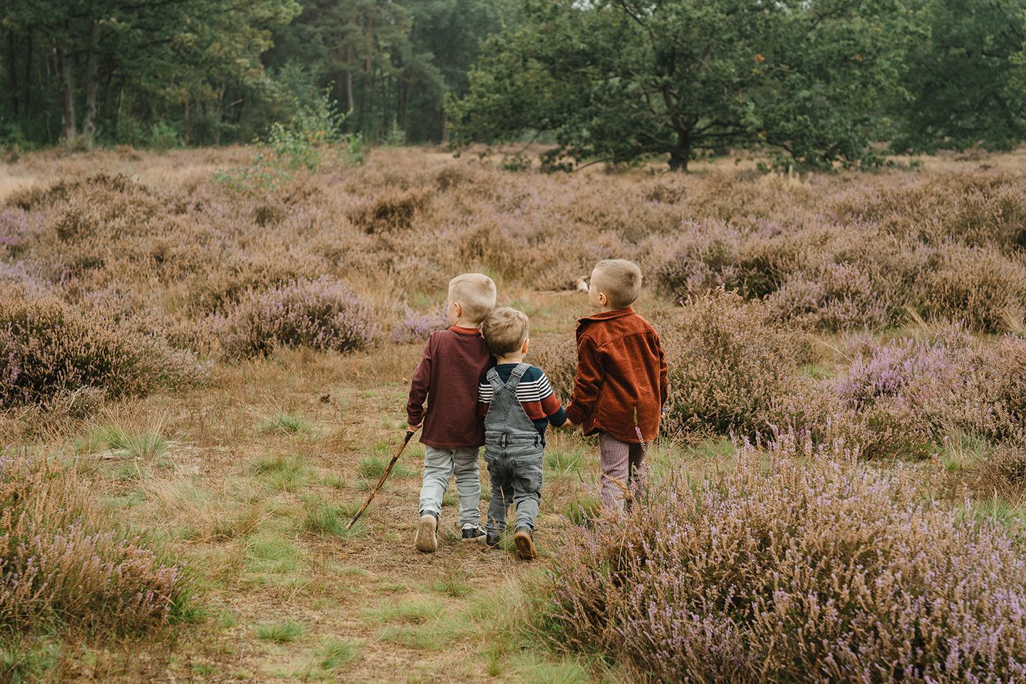 foto van 3 broertjes tijdens spontane photoshoot in Kessel