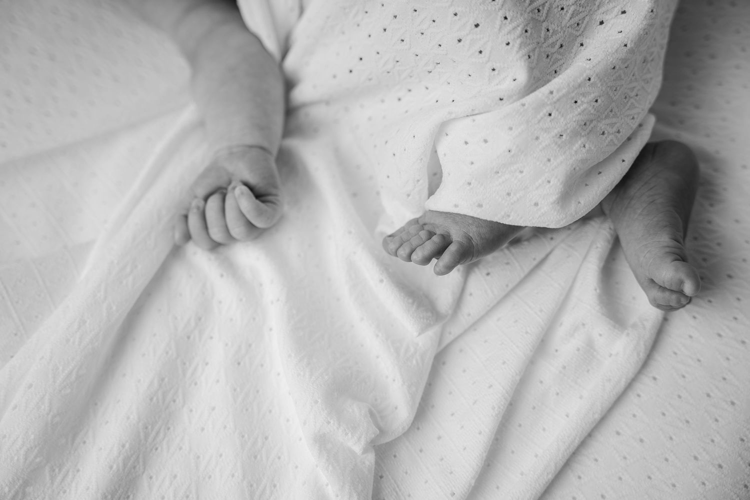 foto van kleine babyvoetjes en handjes tijdens newborn reportage