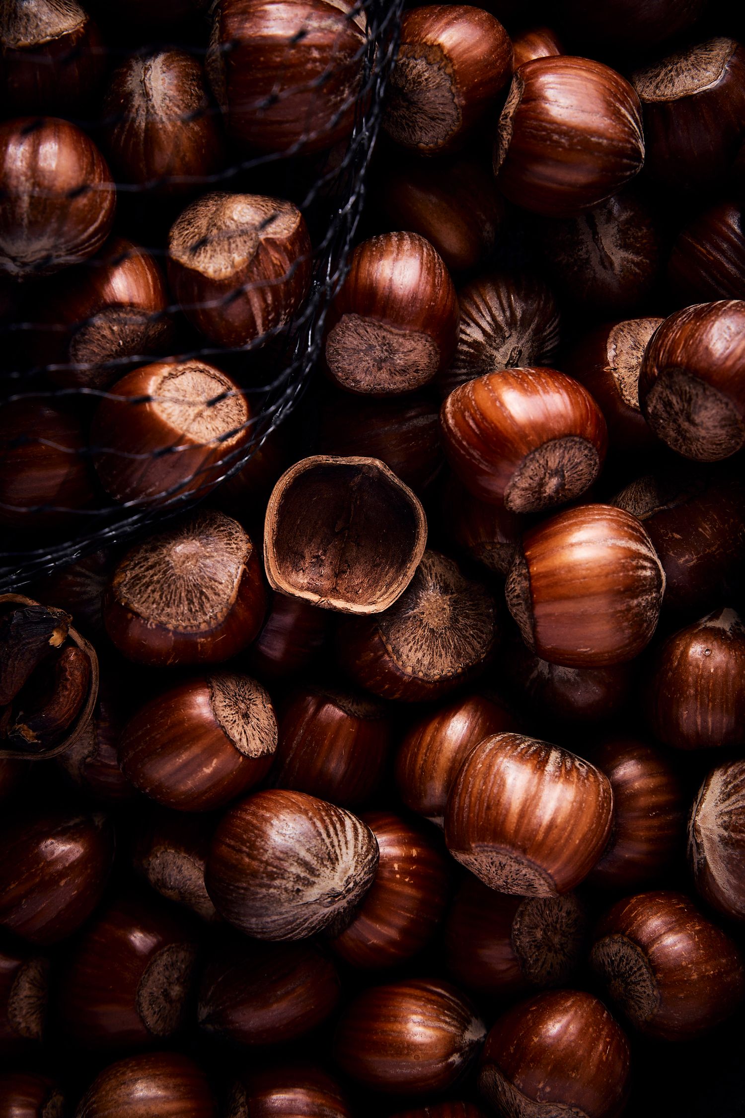 Macro shot of hazelnuts