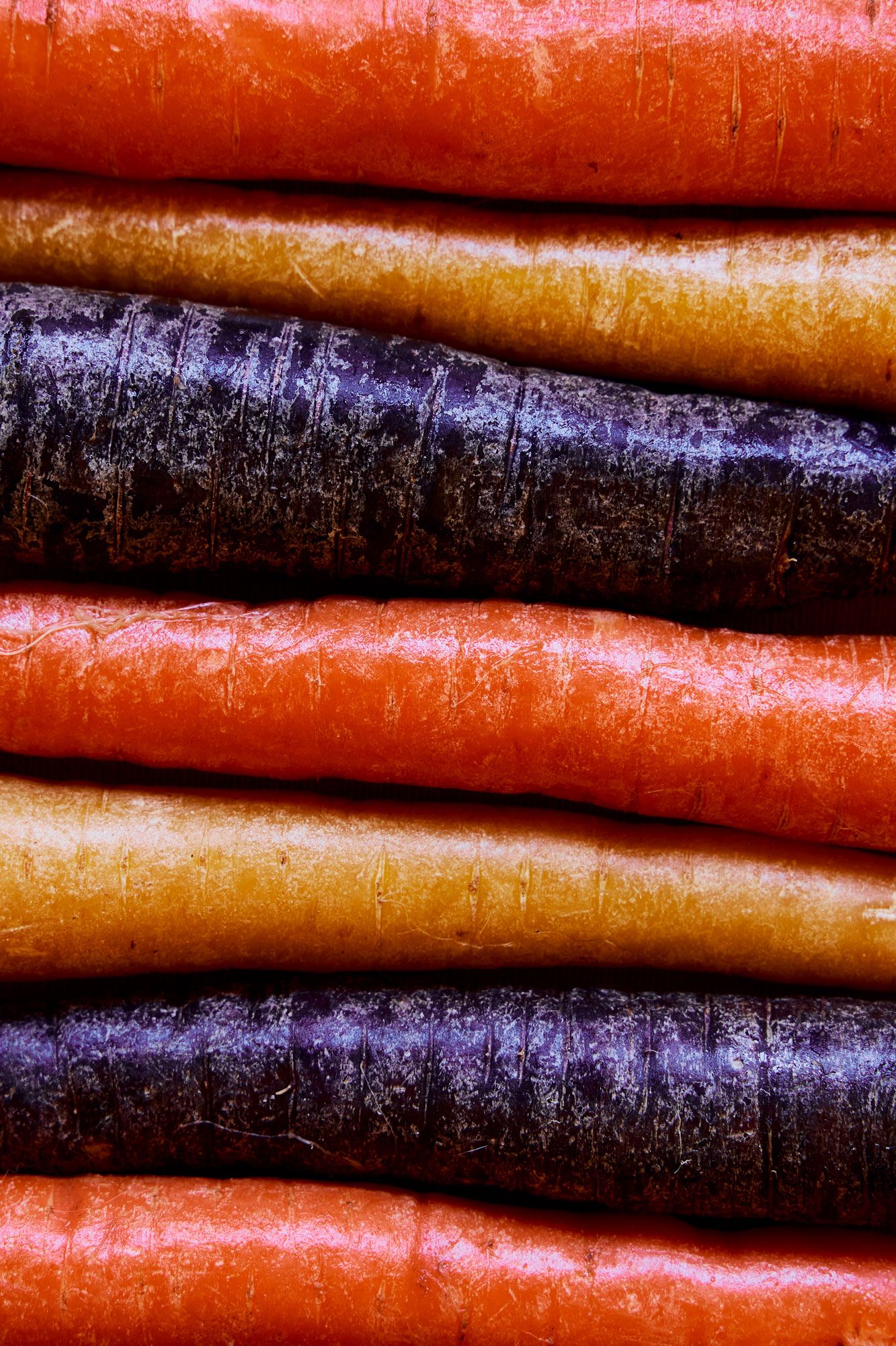 Macro shot of multi coloured carrots