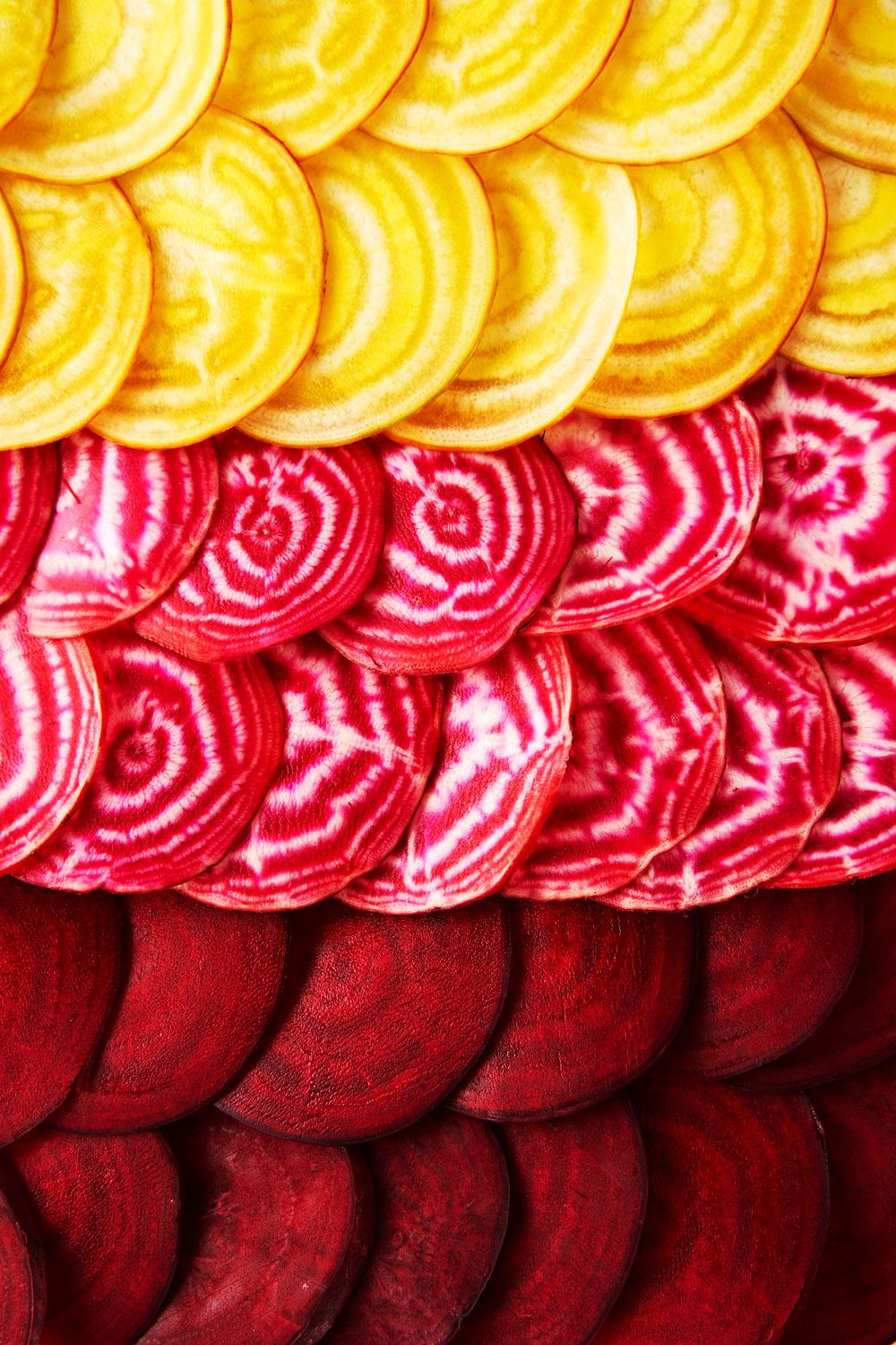 Sliced yellow, and red beets arranged in colourful overlapping rows showing their vibrant cross-sections.