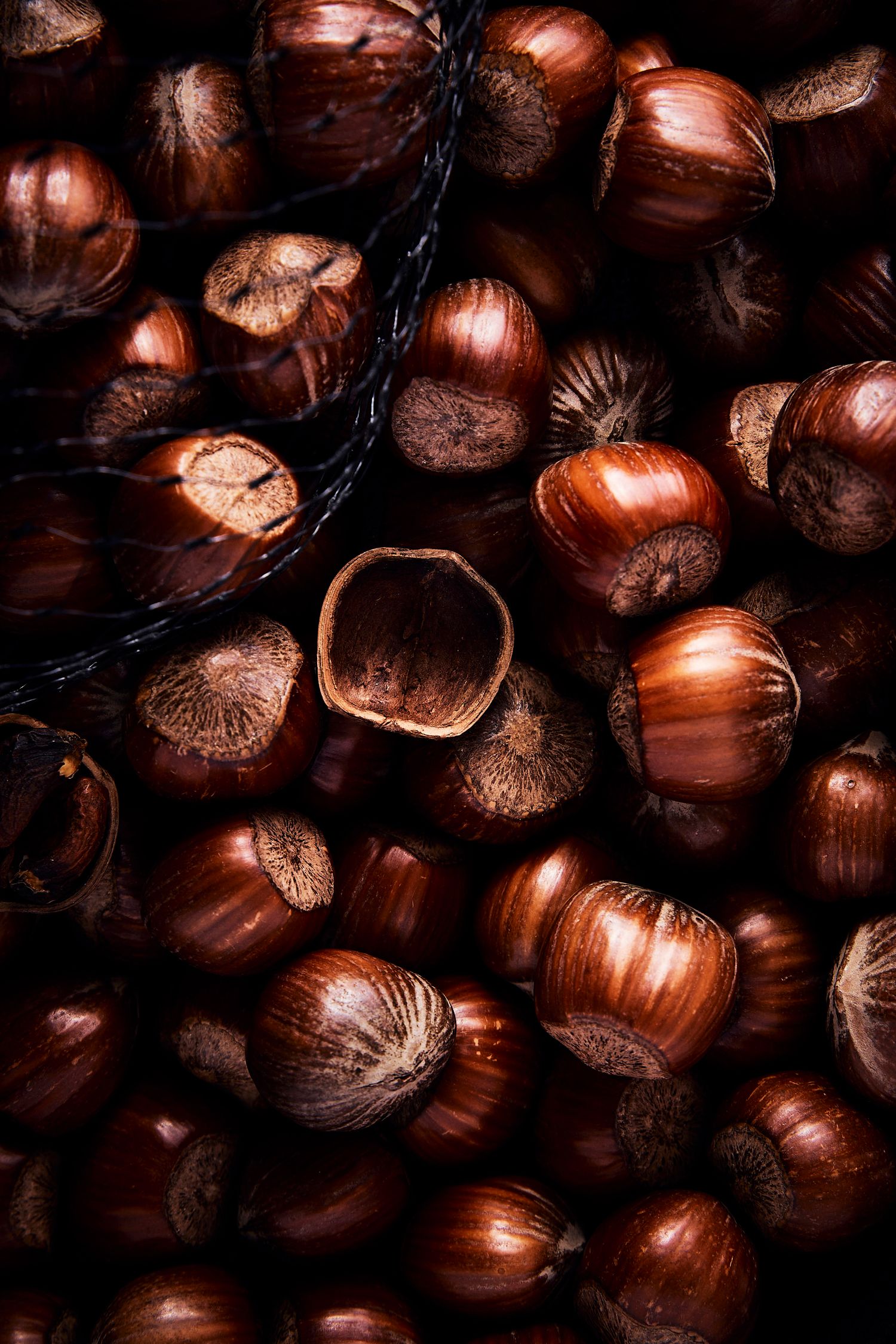Close-up of a large pile of fresh hazelnuts in their shells, some open, with rich brown tones.