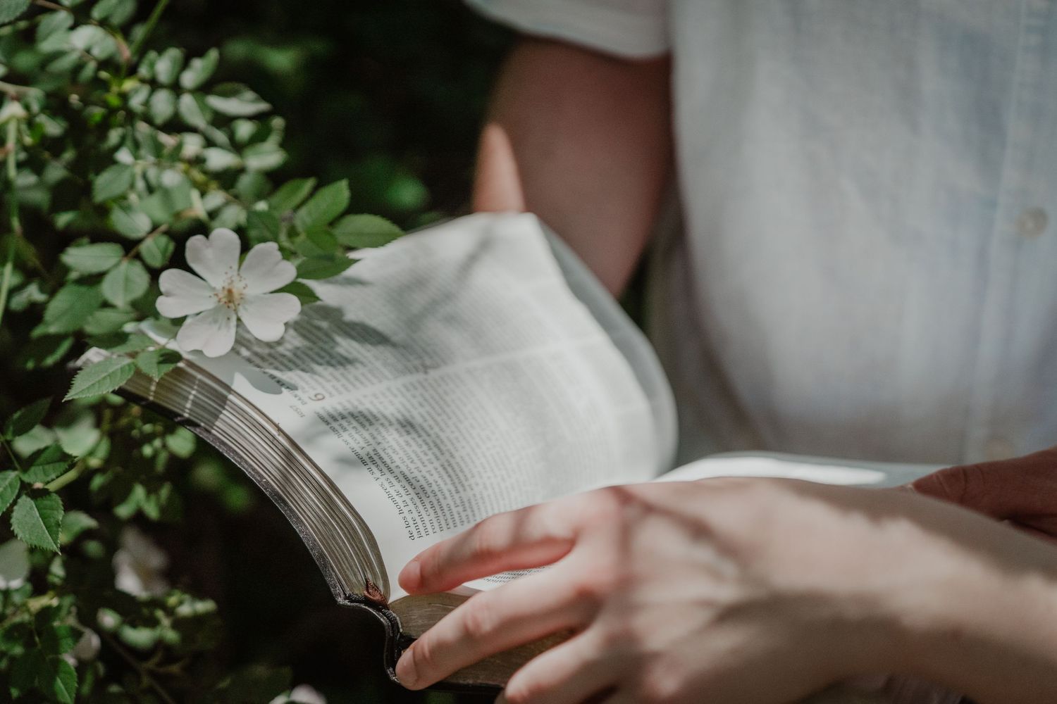 Imagen de la biblia en una preboda