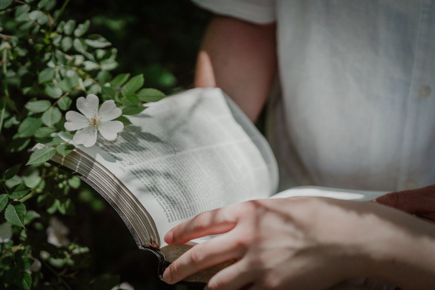 Libro y flores durante sesión preboda – fotografía de pareja Madrid
