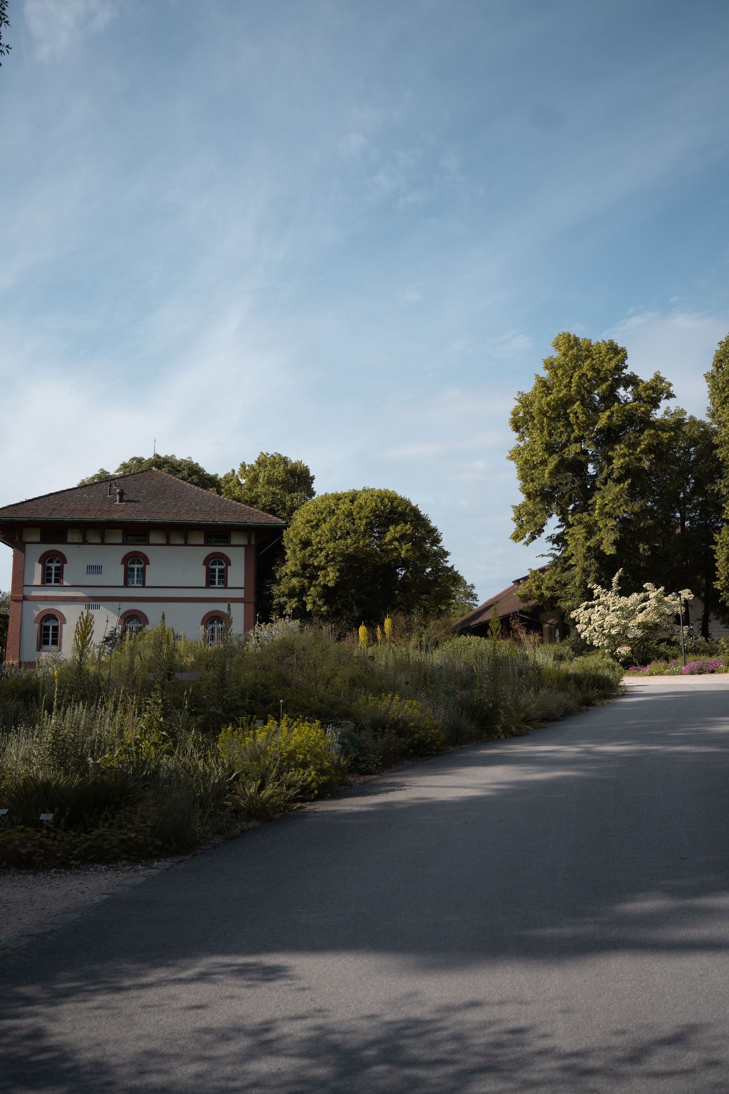 A charming European building surrounded by lush greenery and wildflowers along a quiet paved road under a blue sky.