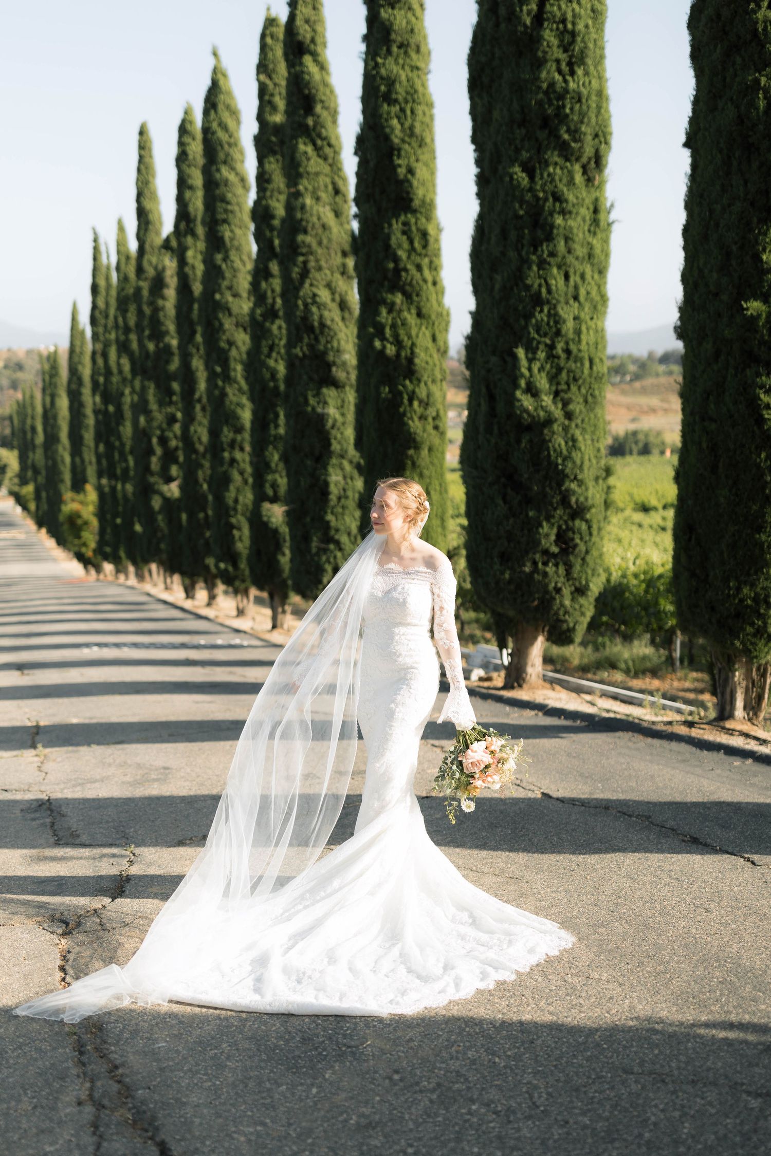 Bride walks along cypress tree-lined path with flowing veil trailing behind.