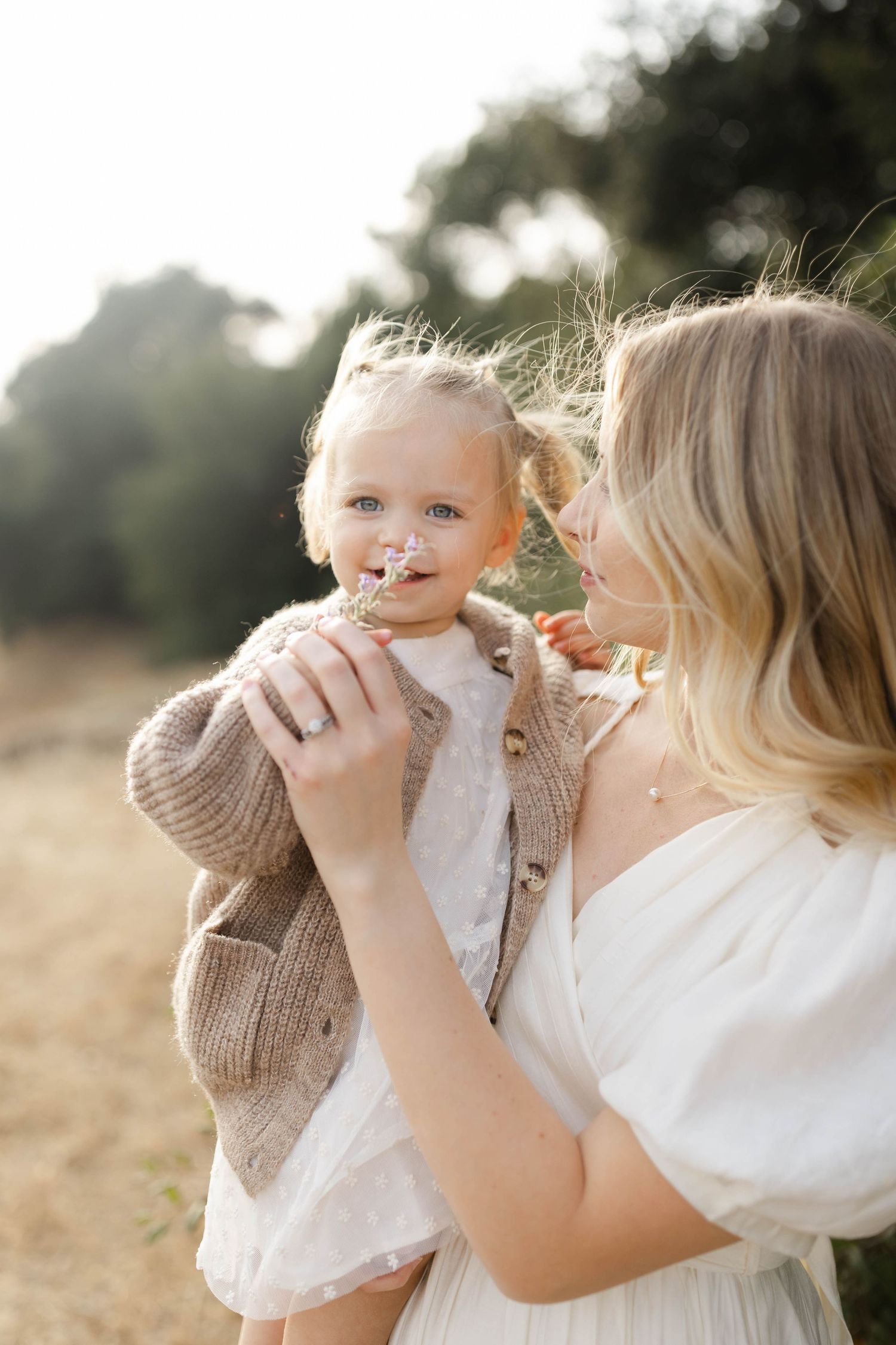 Tender moments between parent and baby captured in warm sunset light.
