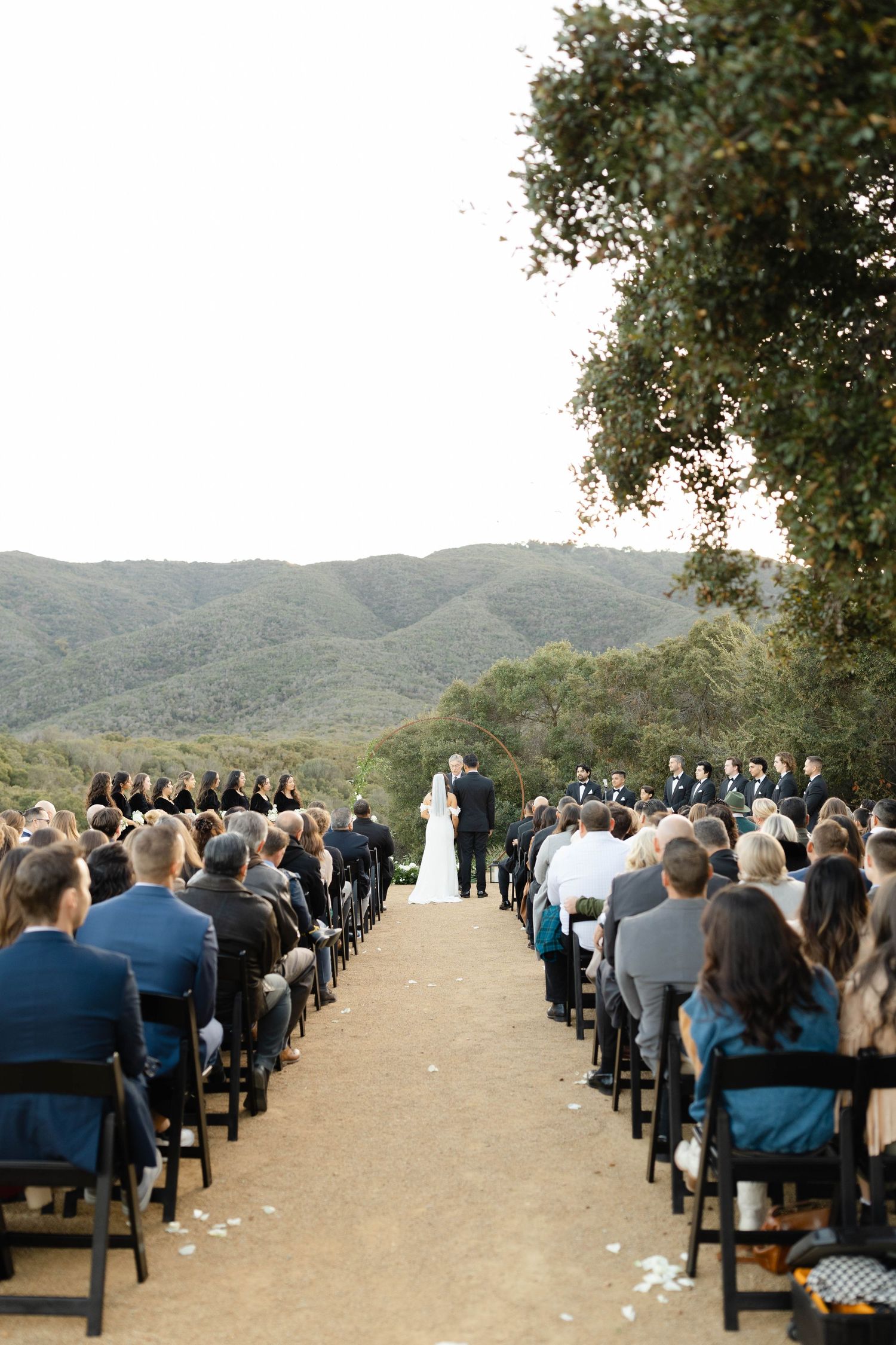 Outdoor wedding ceremony setup with rows of chairs facing mountains under oak trees.