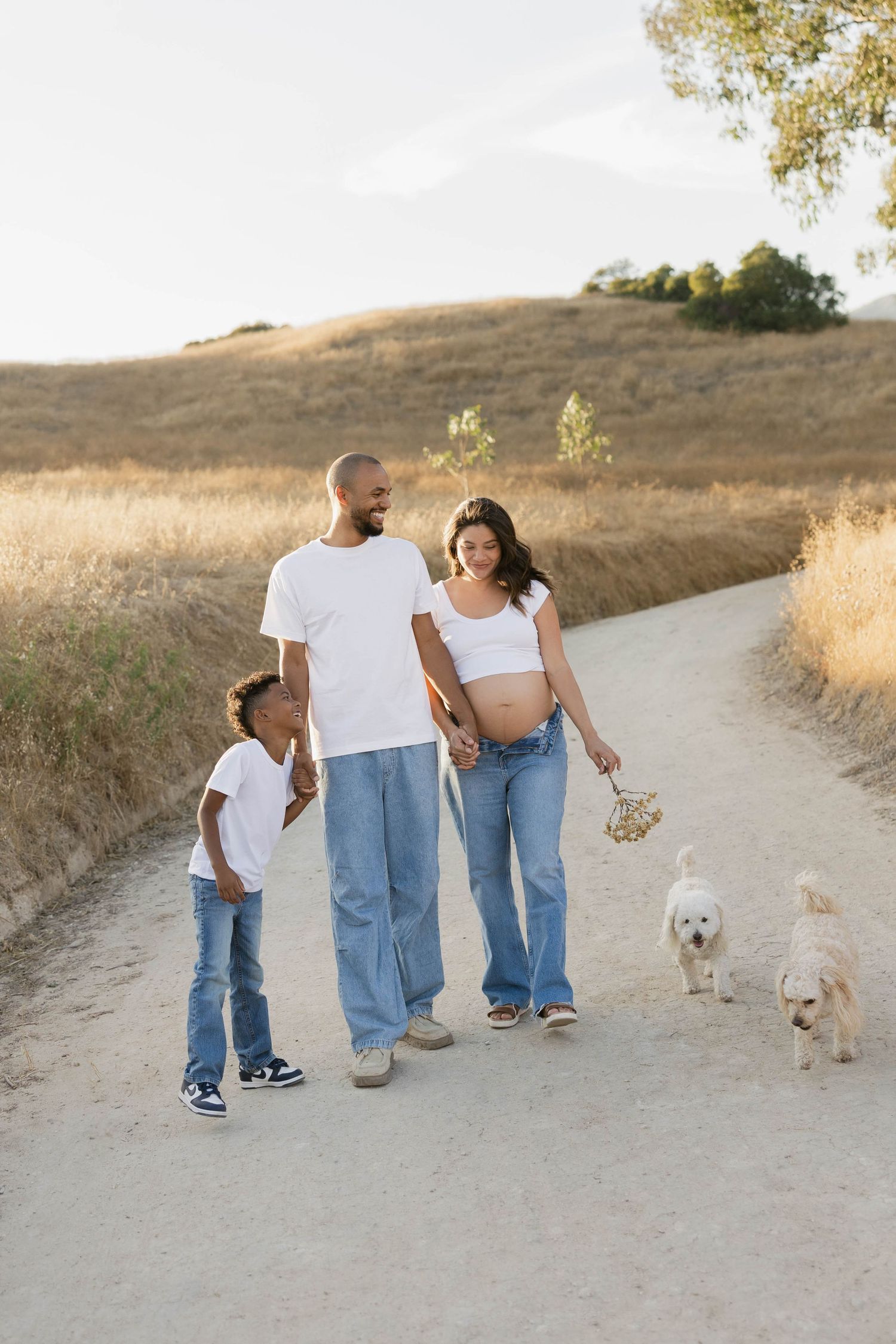 Family walking dogs together on dirt path through golden hills at sunset.