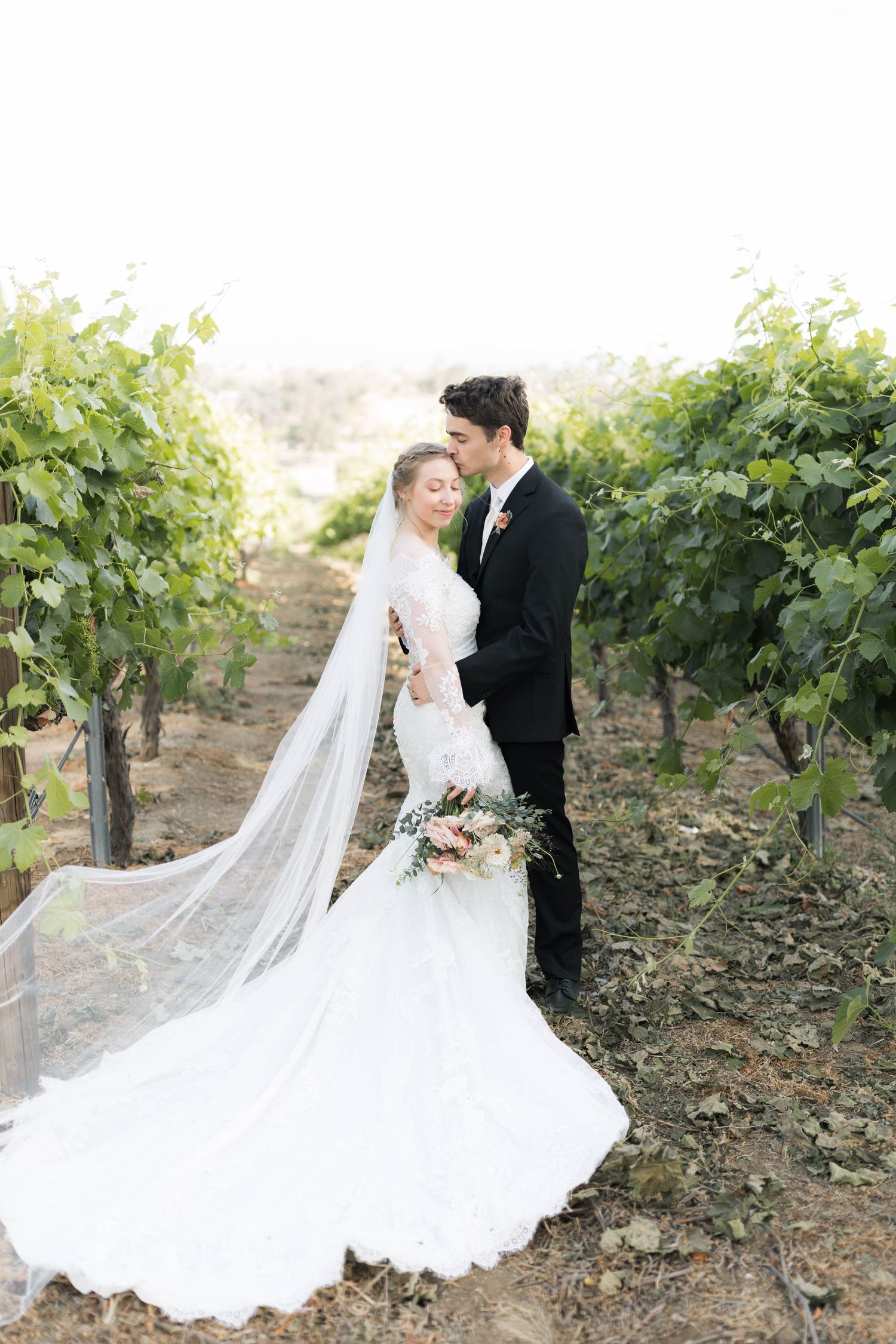 Romantic couple poses in vineyard with flowing white wedding dress and veil.