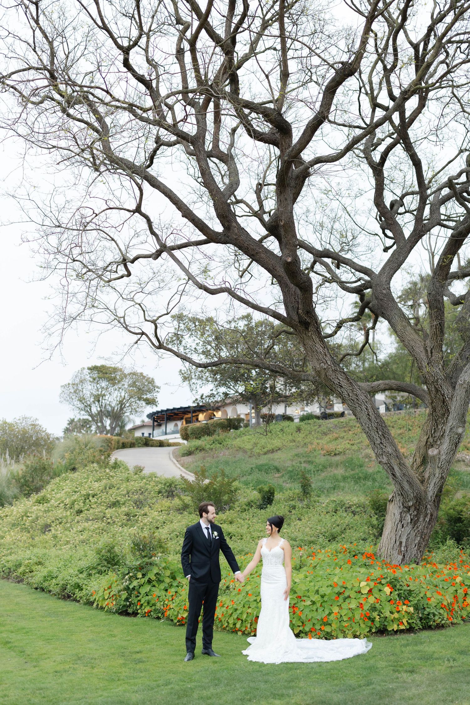 Wedding portraits taken on hillside with blooming California poppies and gnarled oak trees.