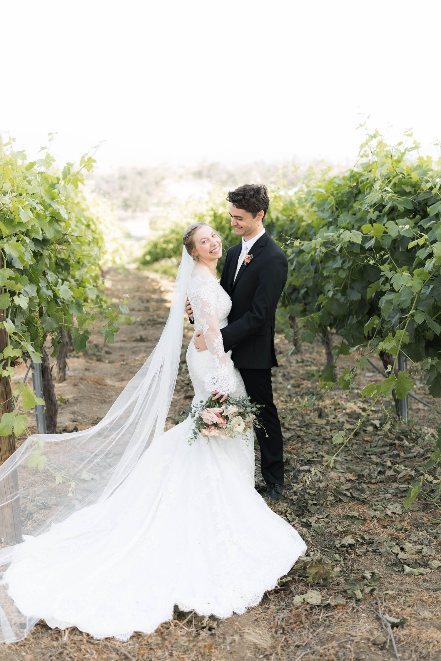 Elegant wedding couple poses among vineyard rows with flowing white dress and veil.