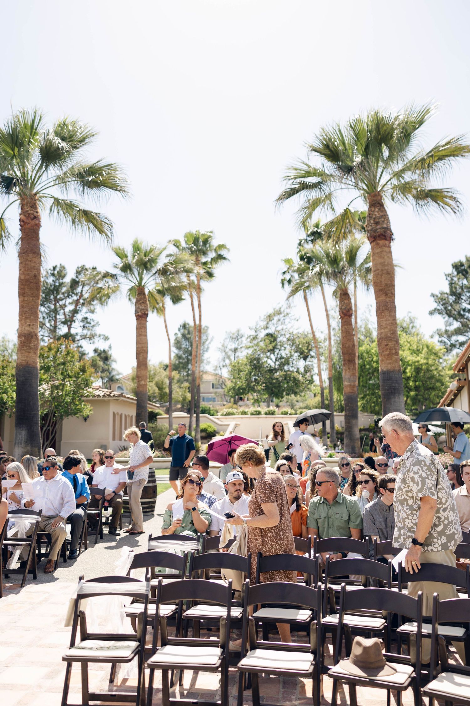 Outdoor wedding ceremony setup with palm trees and rows of chairs filled with guests.