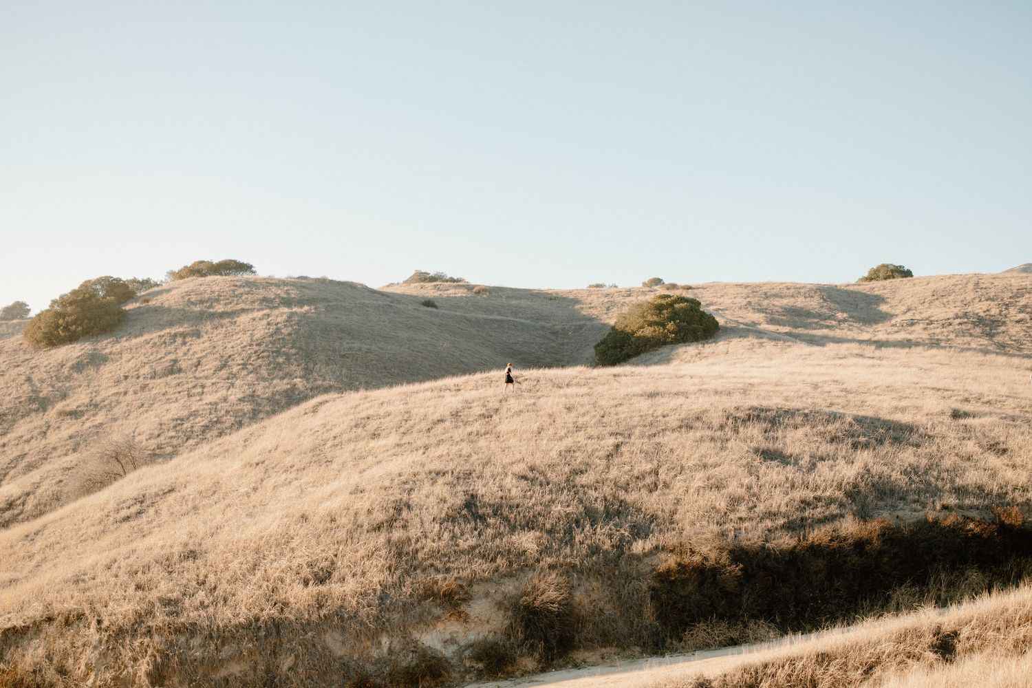 Rolling golden hills stretch across a serene coastal landscape at dusk.