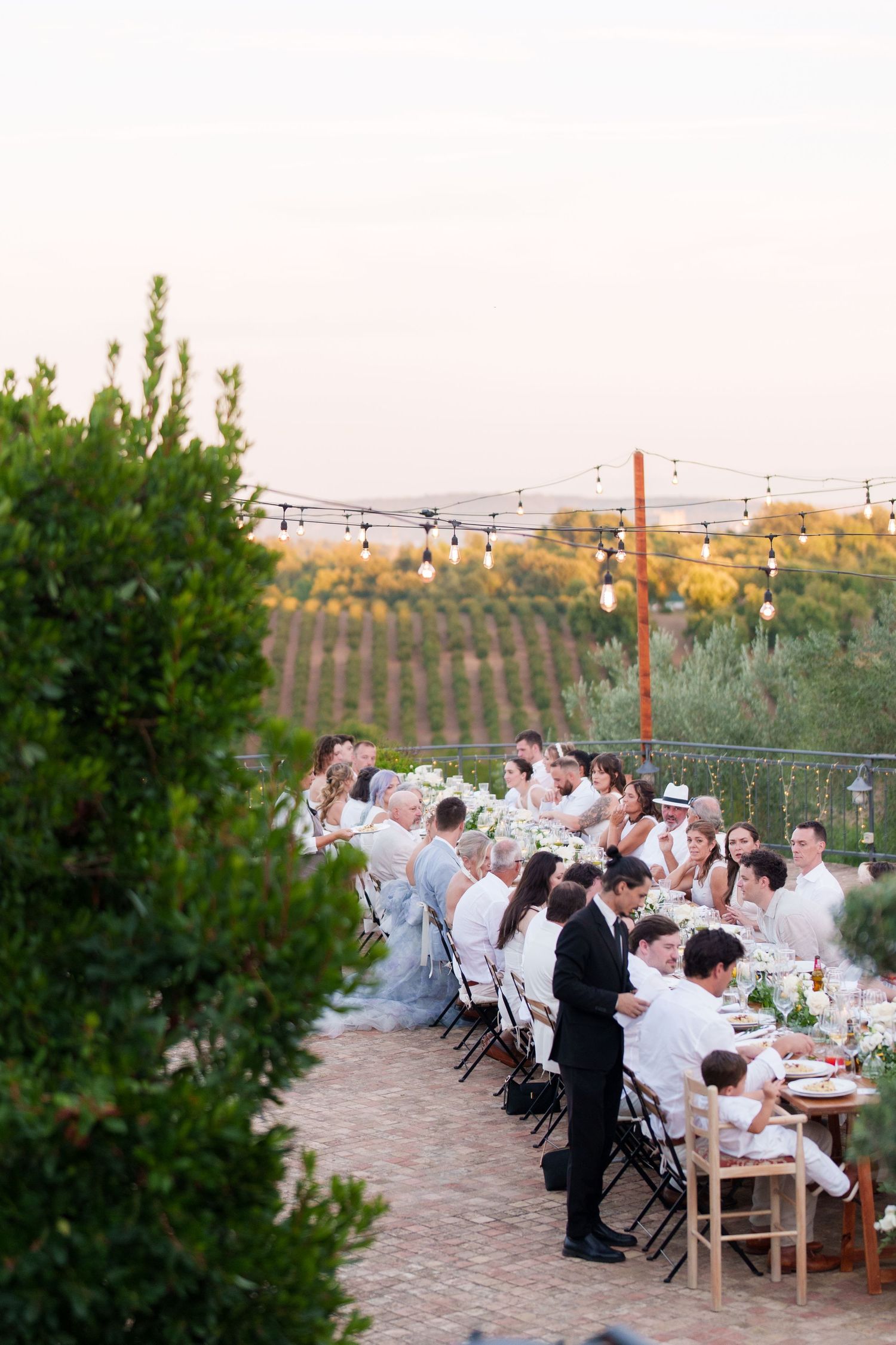 Outdoor wedding reception at sunset with guests in white attire seated at long tables amid vineyard views and string lights.