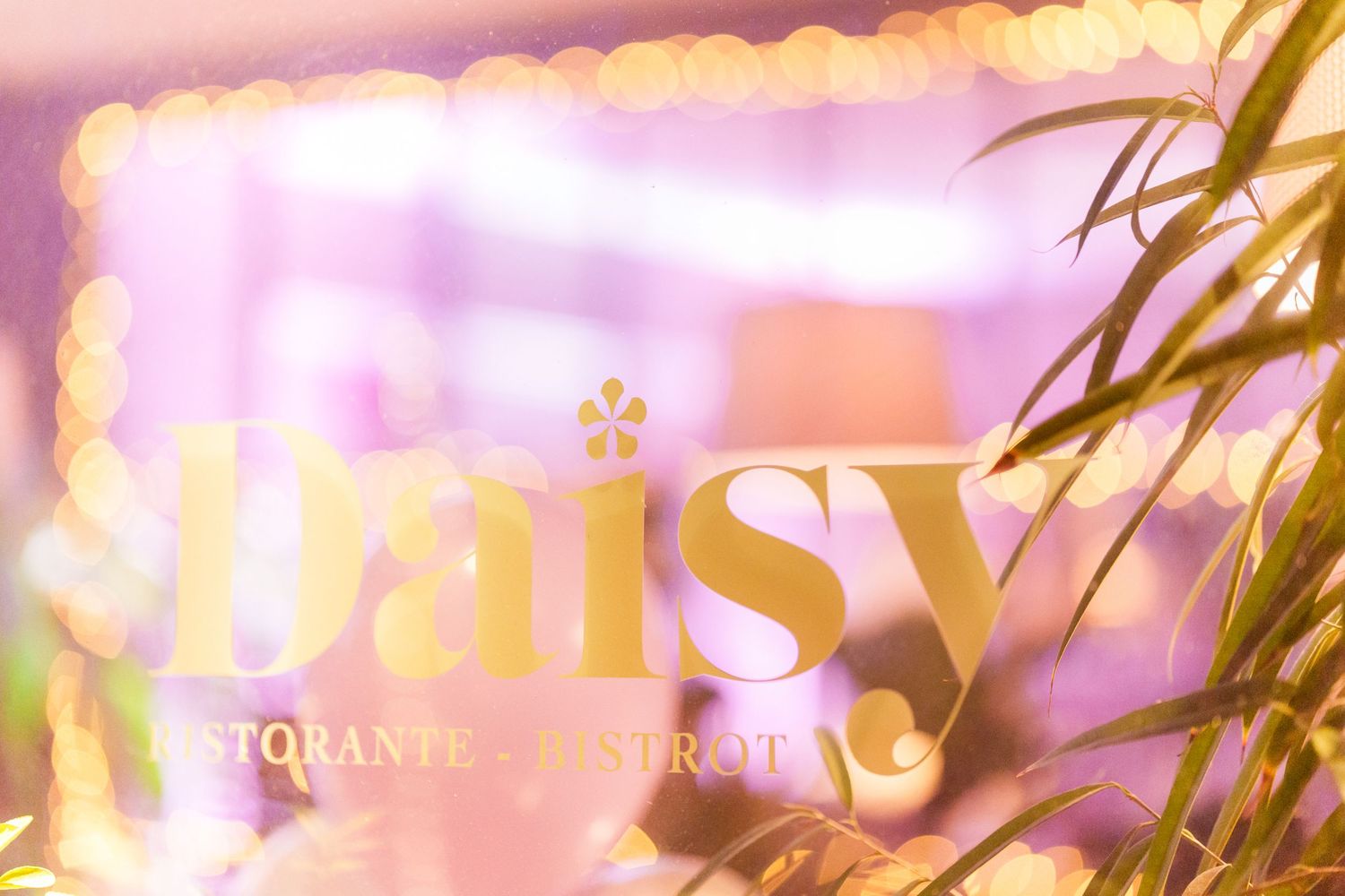 luxury event photographer Italy personal trainer end of year celebration