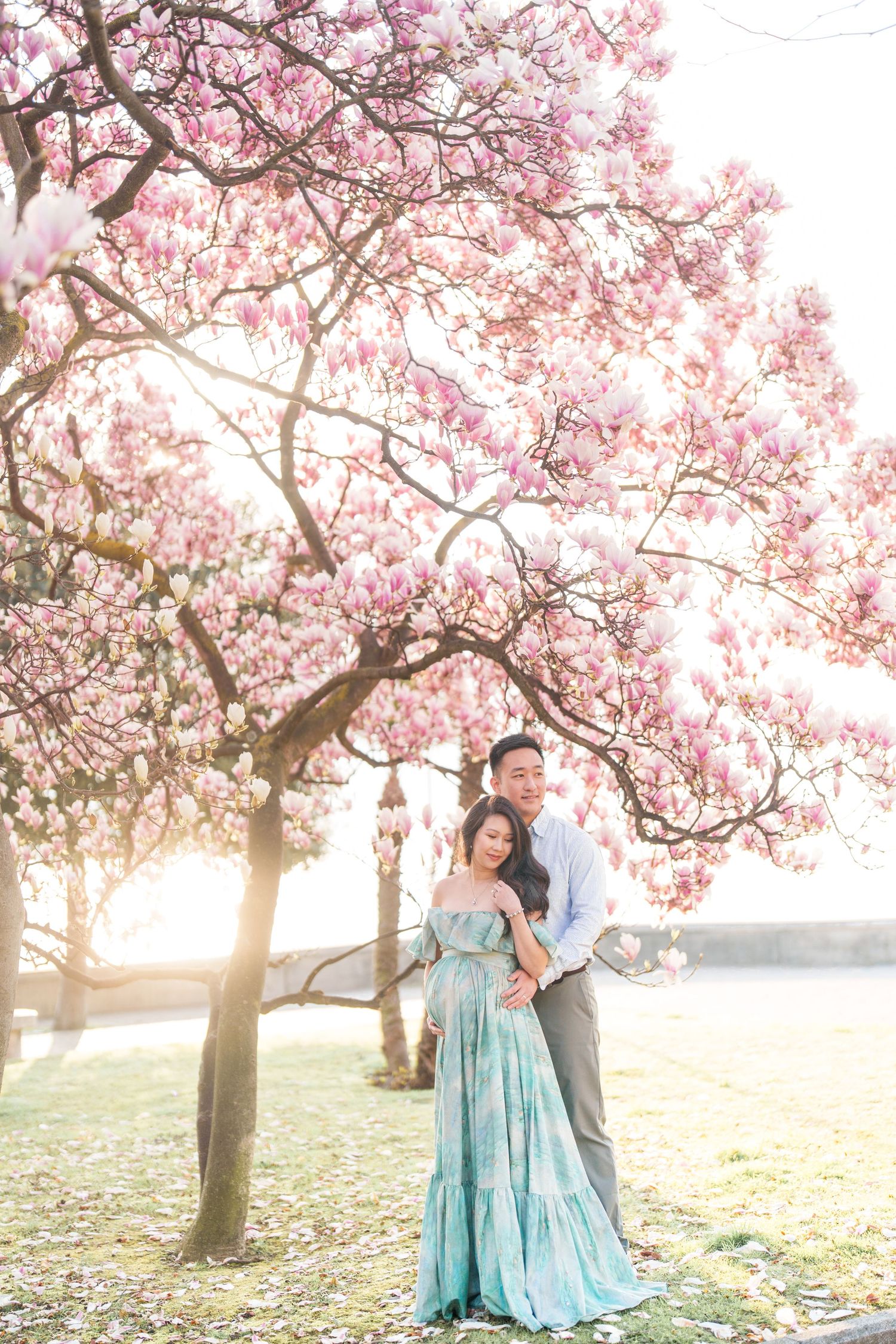 Couple embracing under blooming pink magnolia tree in golden sunlight, woman in teal gown.