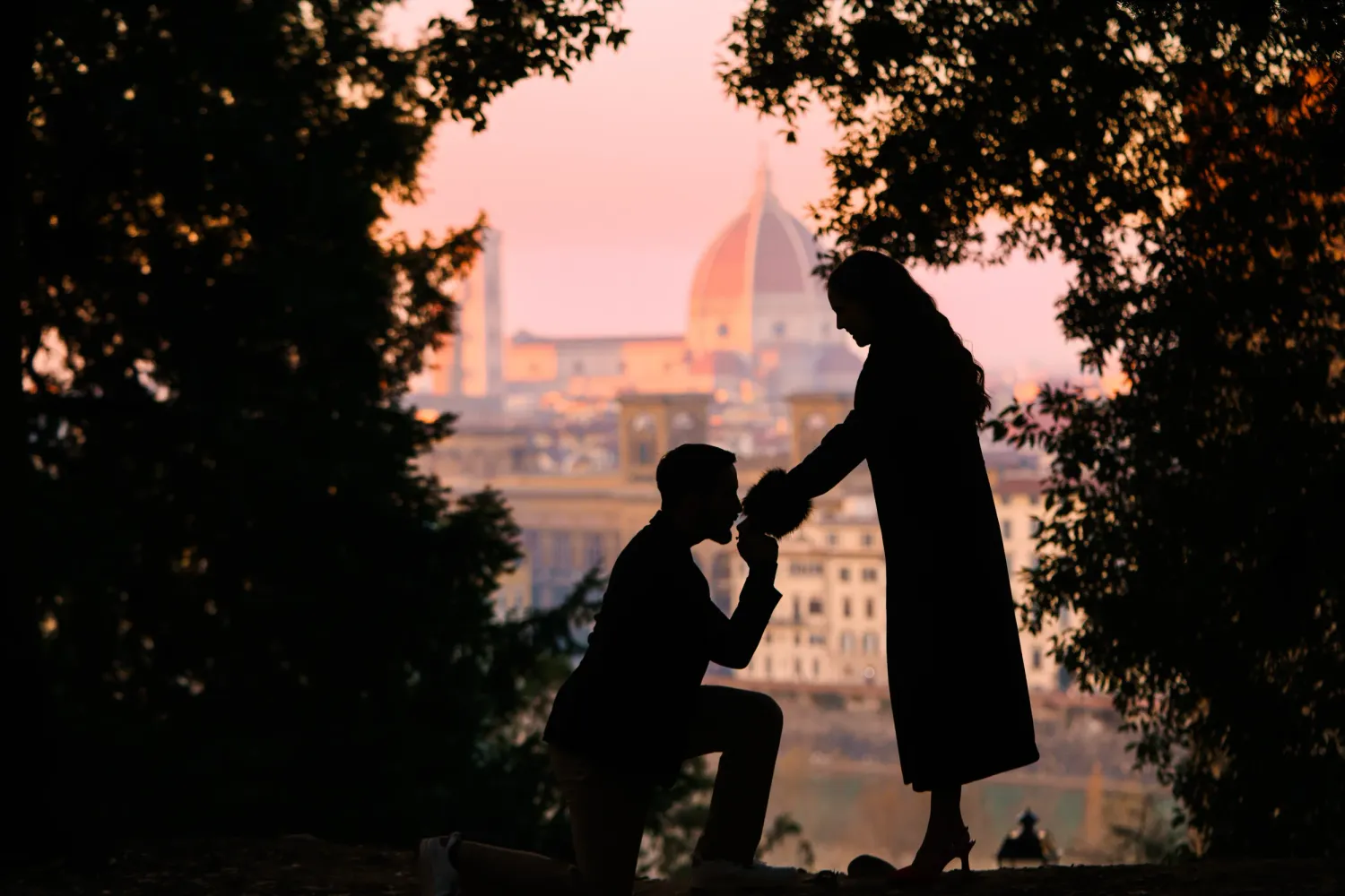 A silhouetted figure stands beneath tree branches against a pink and orange sunset sky.