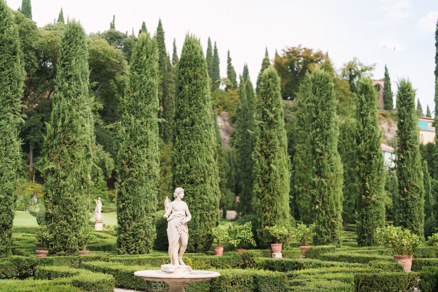 Surprise engagement proposal in Verona captured in cinematic and elegant photography style